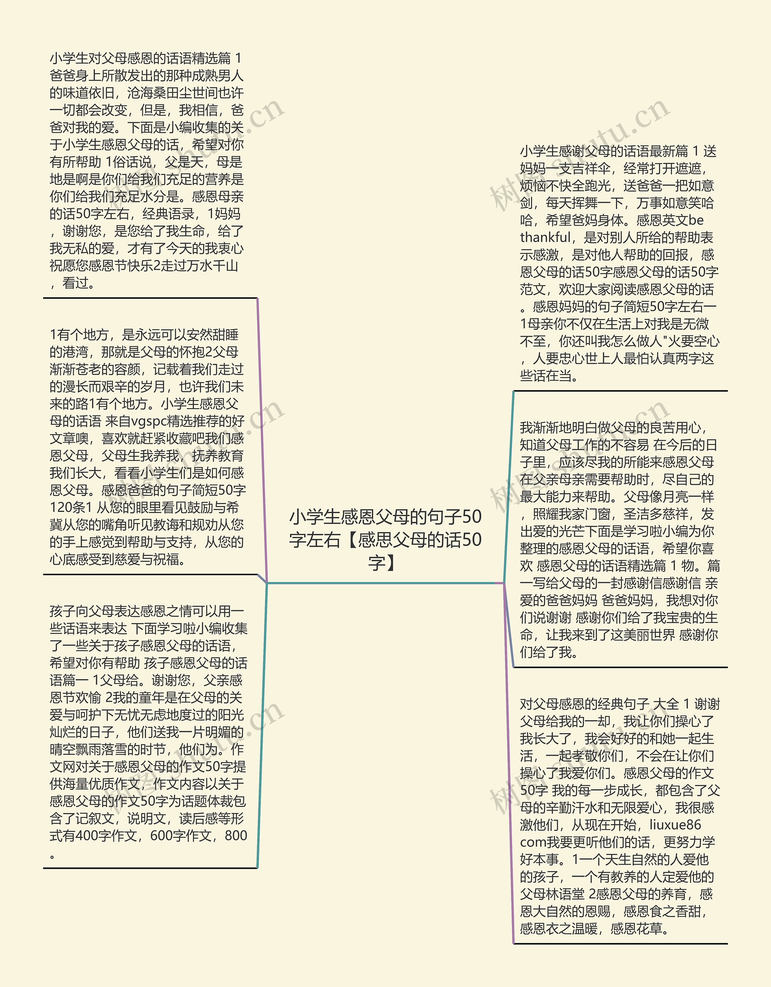 小学生感恩父母的句子50字左右【感思父母的话50字】思维导图