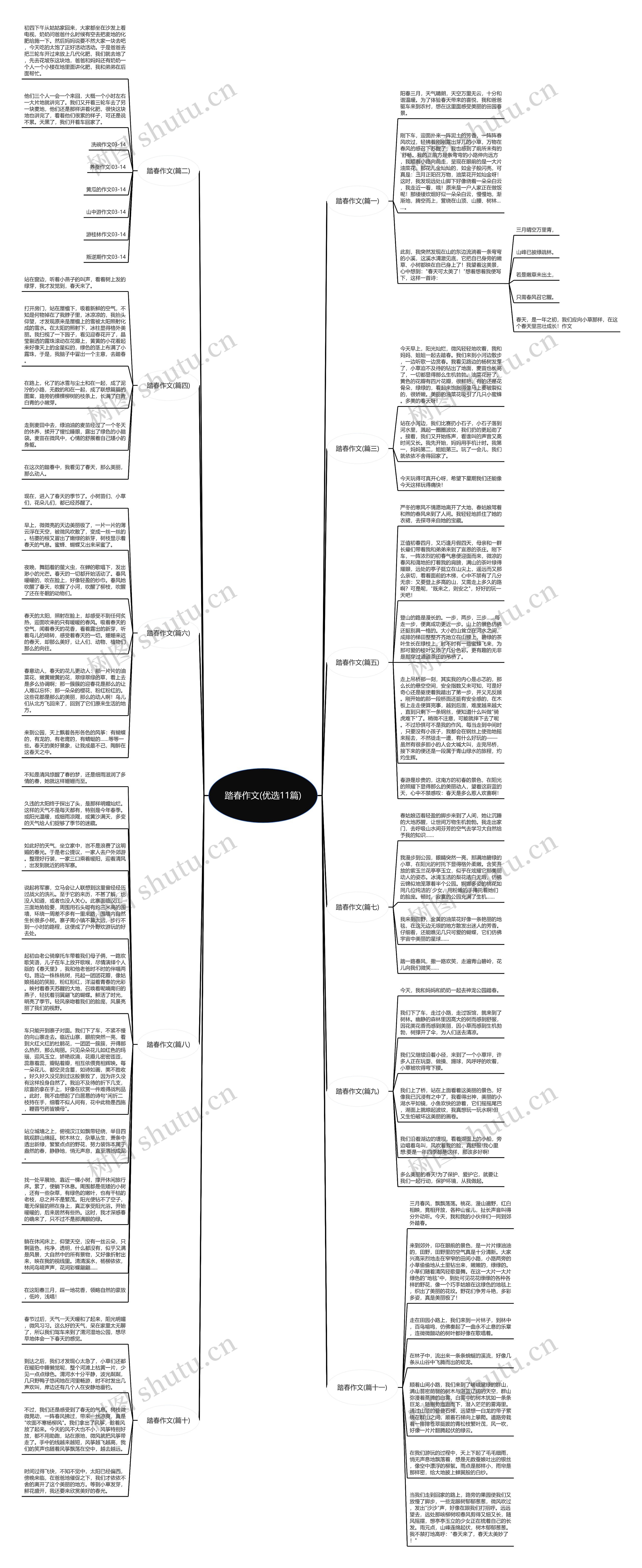 踏春作文(优选11篇)思维导图