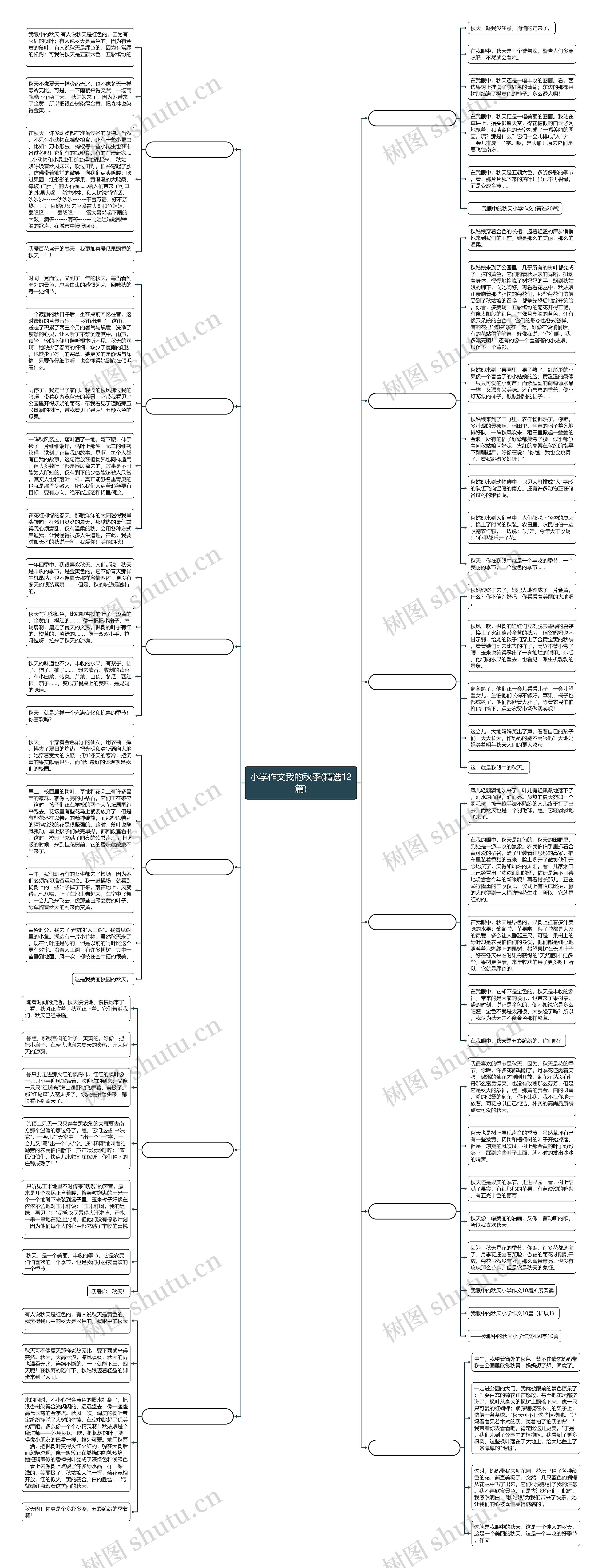 小学作文我的秋季(精选12篇)思维导图