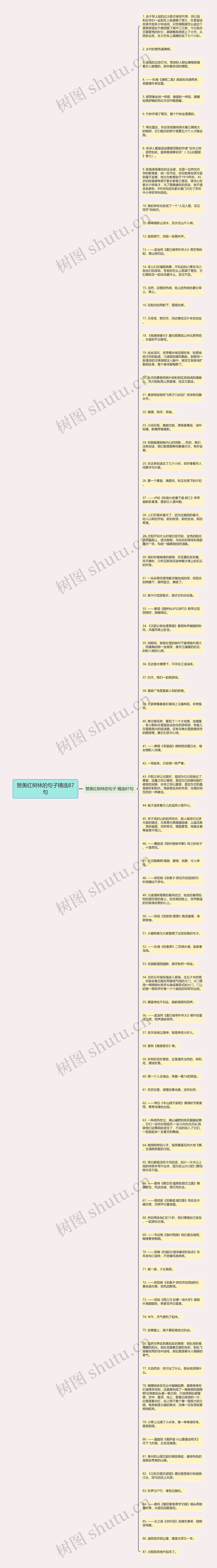 赞美红树林的句子精选87句思维导图