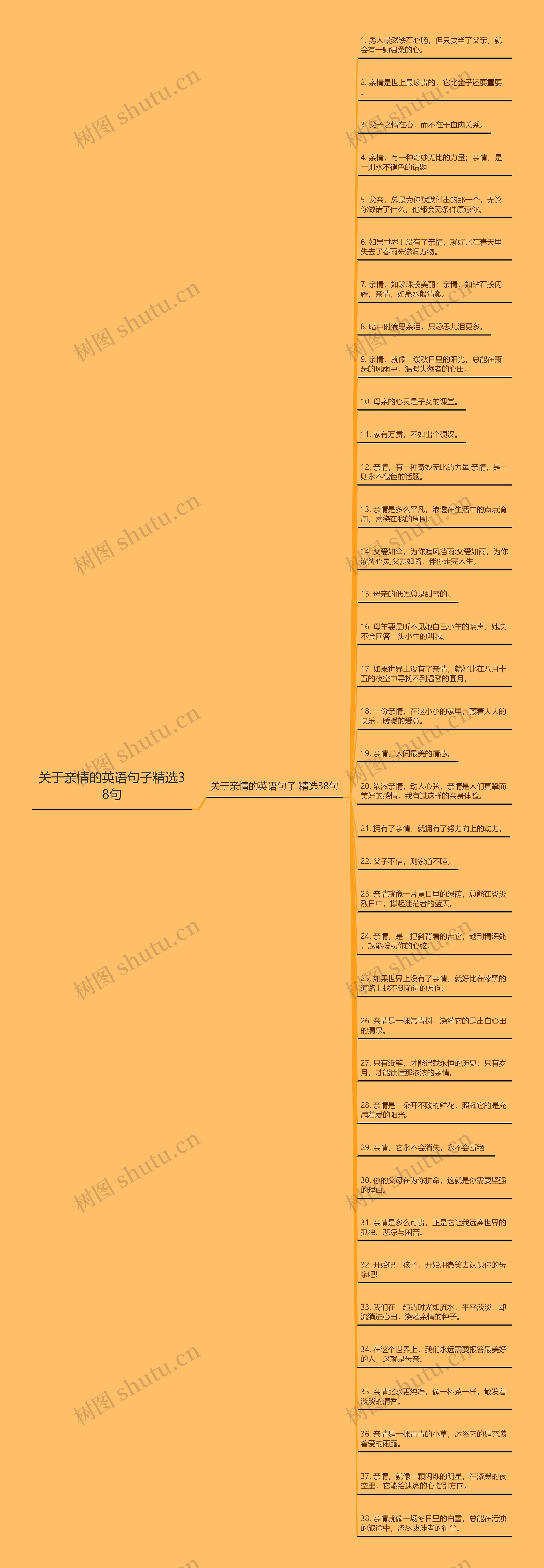 关于亲情的英语句子精选38句思维导图