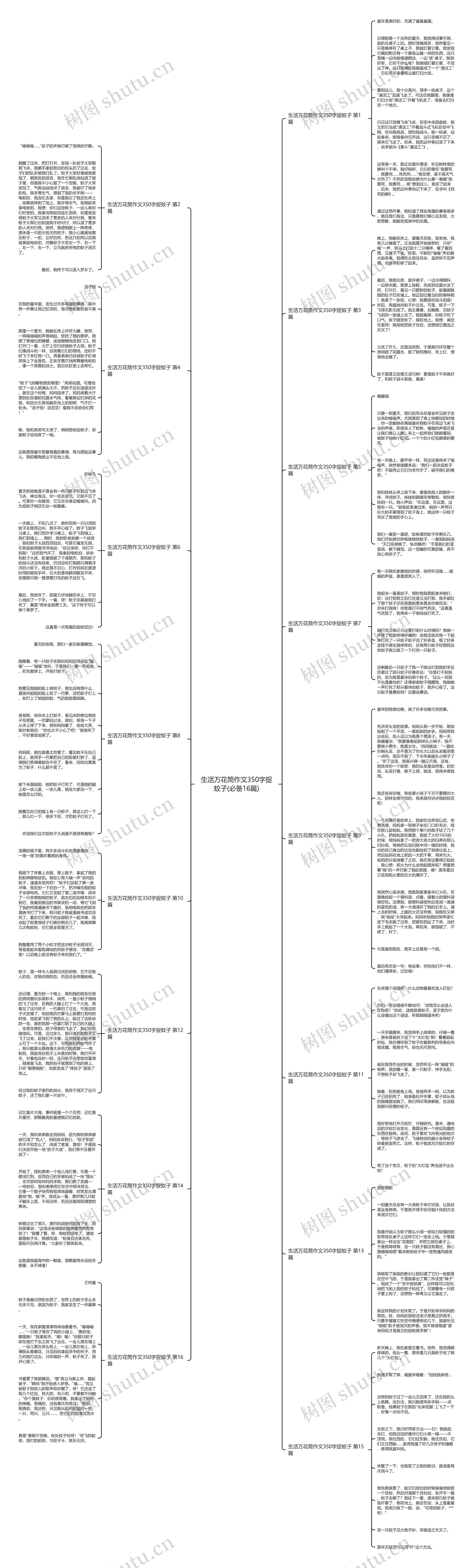 生活万花筒作文350字捉蚊子(必备16篇)思维导图