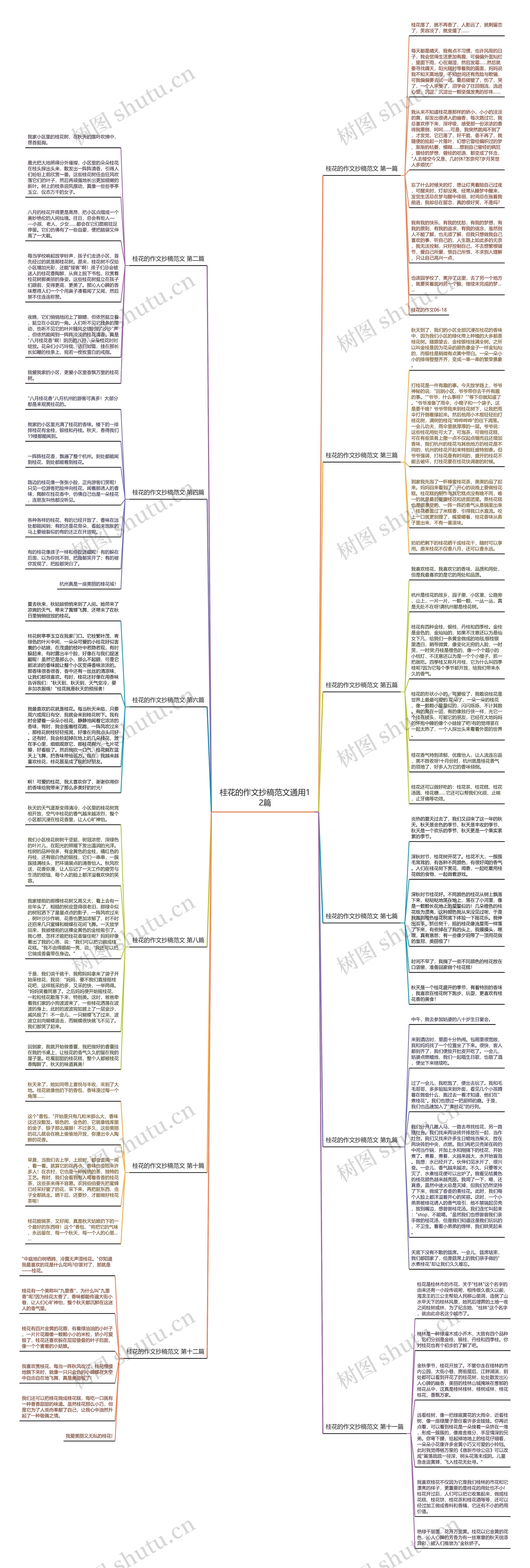 桂花的作文抄稿范文通用12篇思维导图