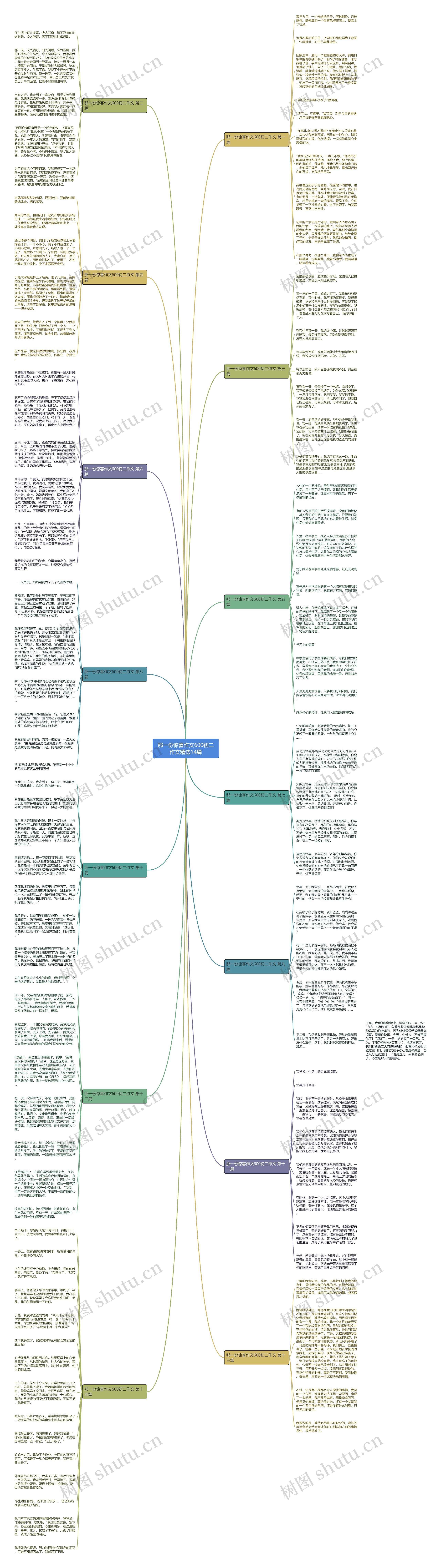 那一份惊喜作文600初二作文精选14篇思维导图
