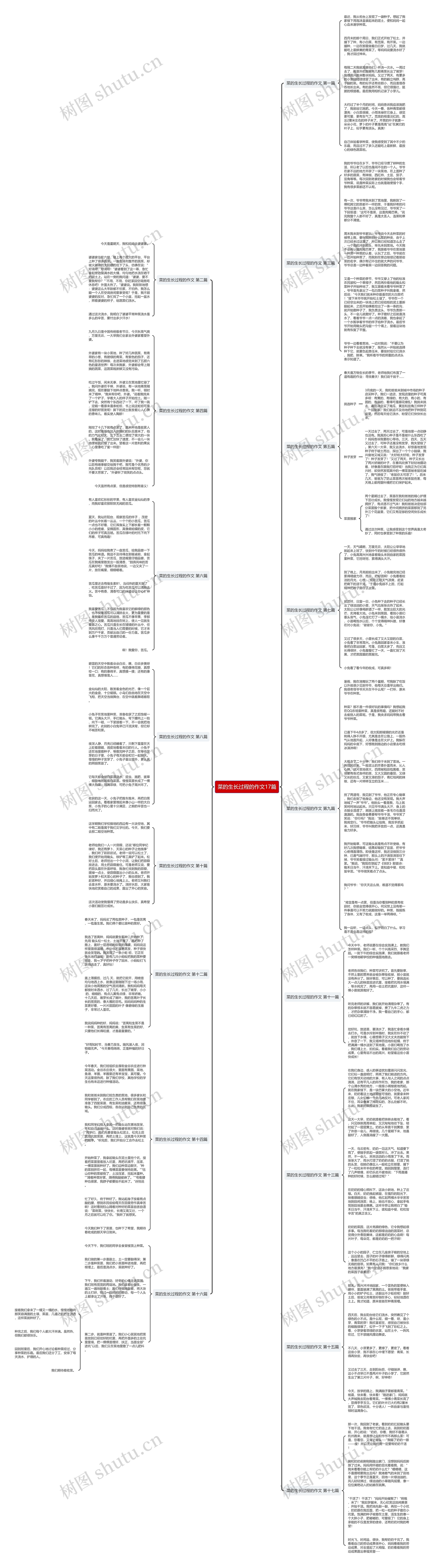 菜的生长过程的作文17篇思维导图