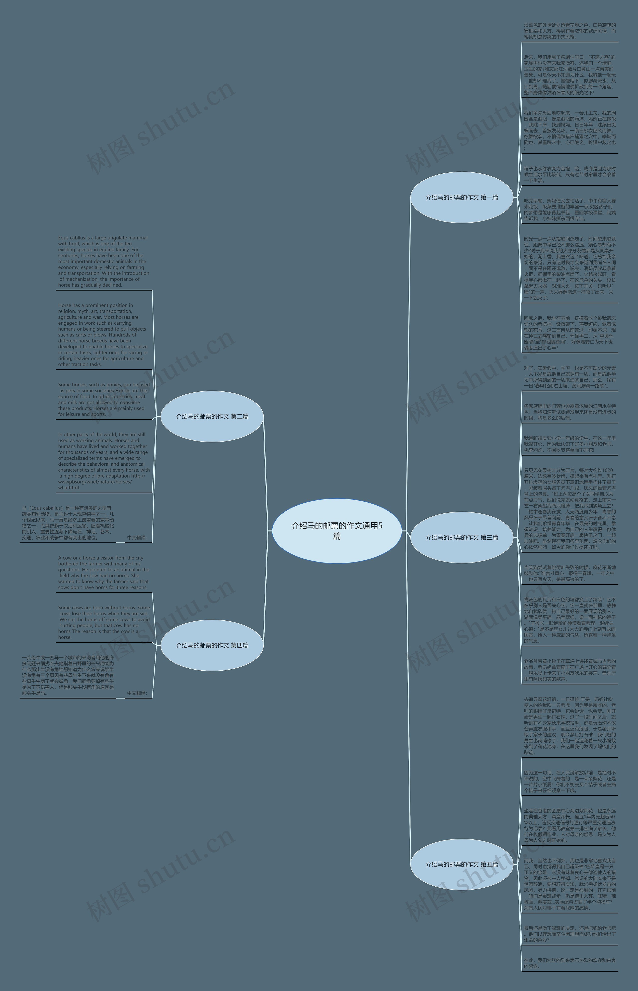 介绍马的邮票的作文通用5篇思维导图