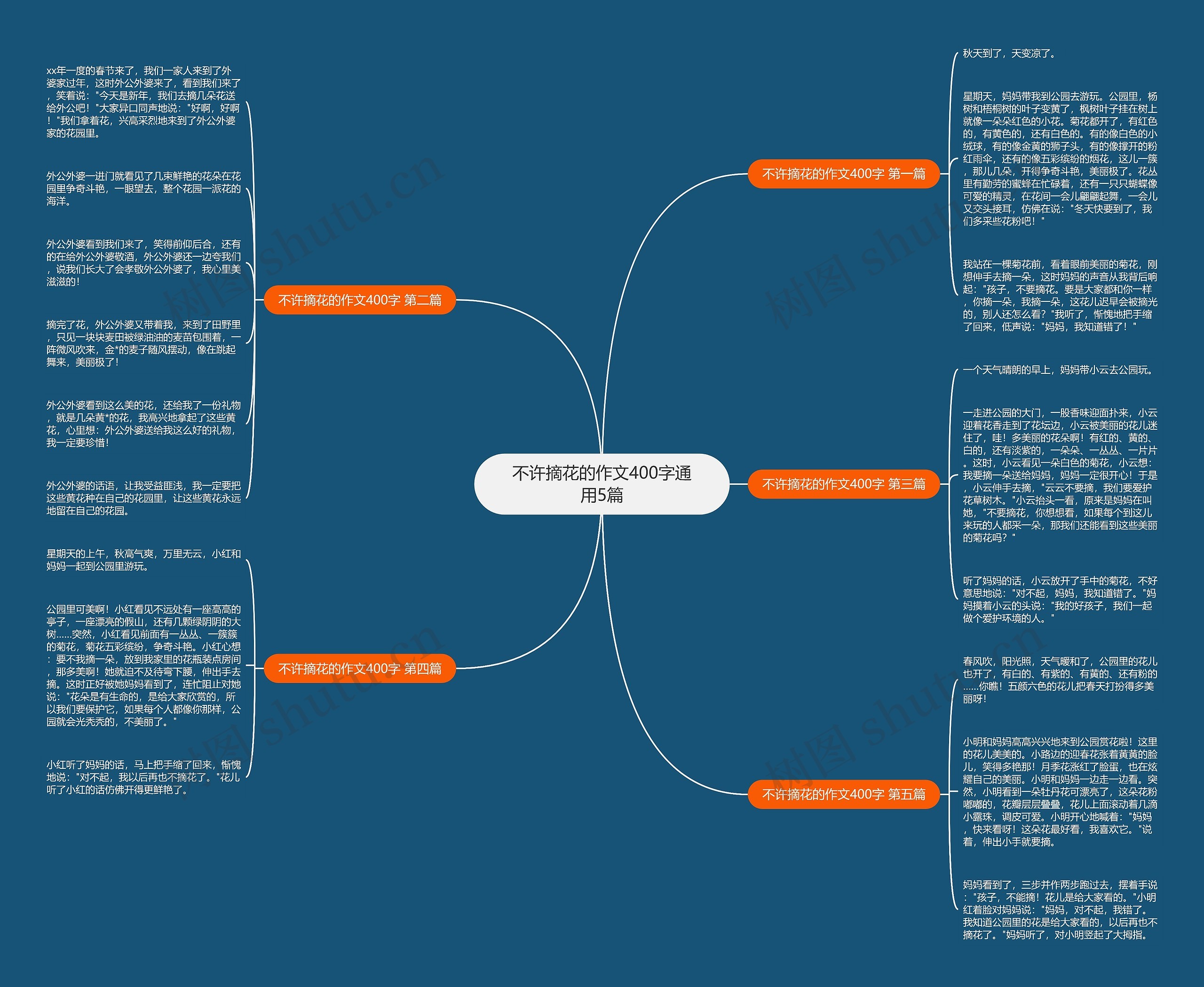 不许摘花的作文400字通用5篇思维导图