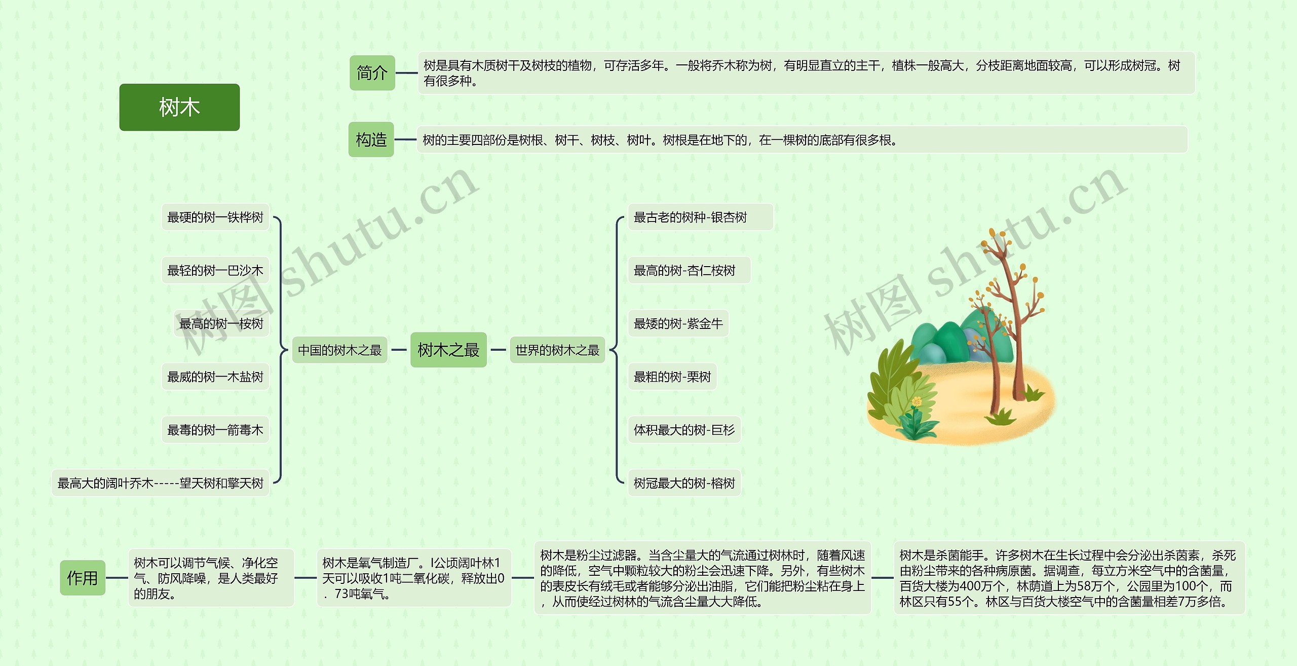 树木思维导图