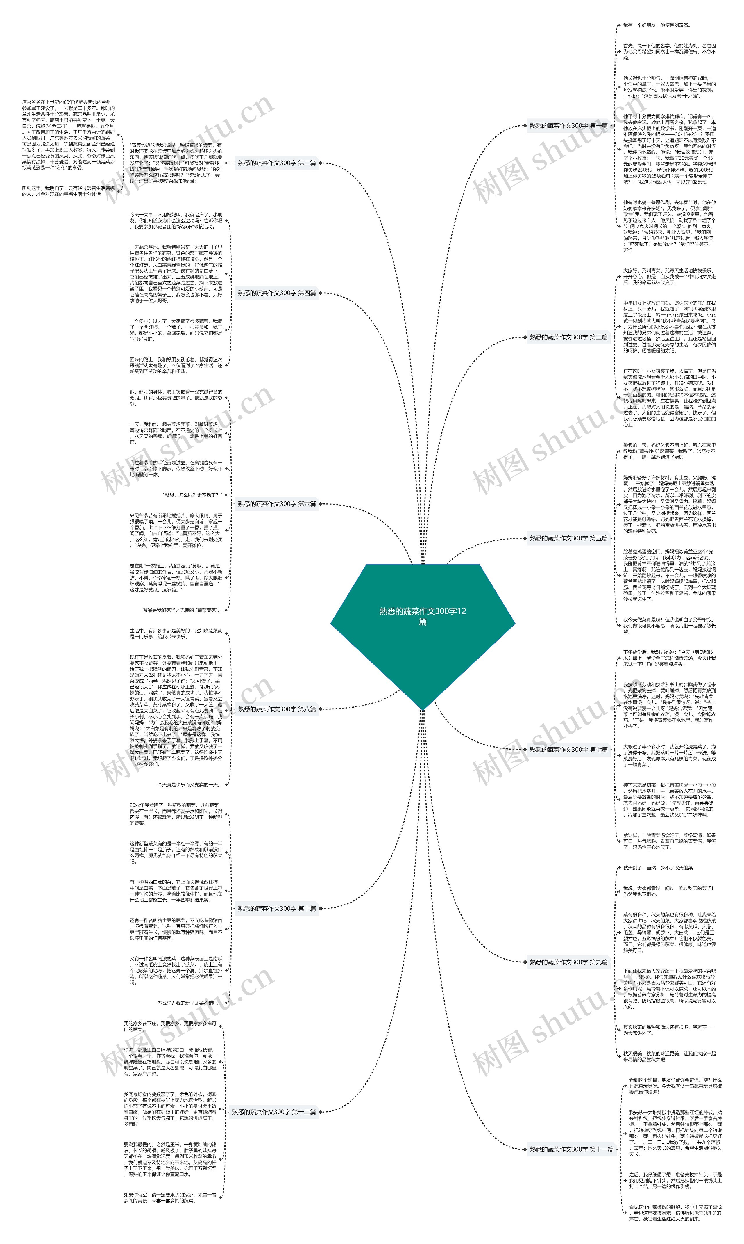 熟悉的蔬菜作文300字12篇思维导图