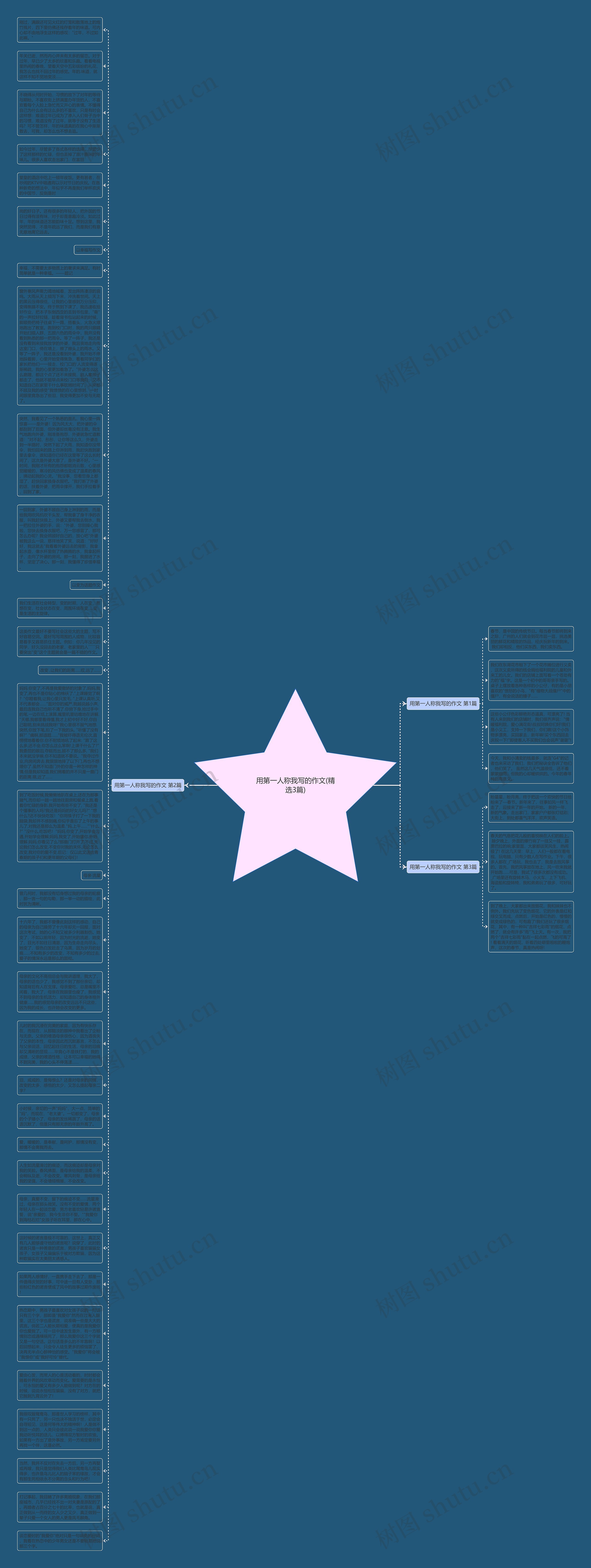 用第一人称我写的作文(精选3篇)思维导图