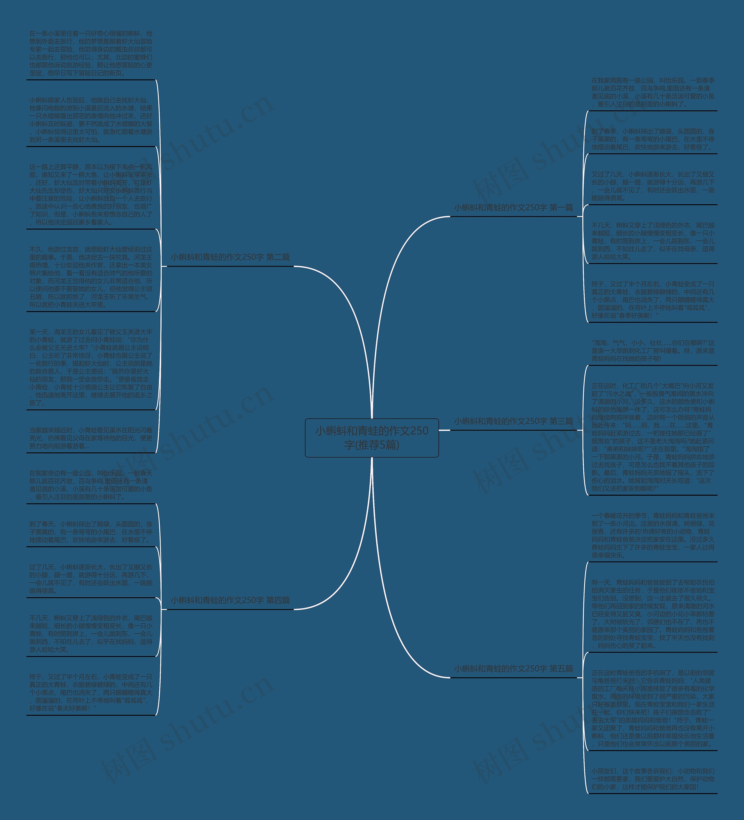 小蝌蚪和青蛙的作文250字(推荐5篇)思维导图