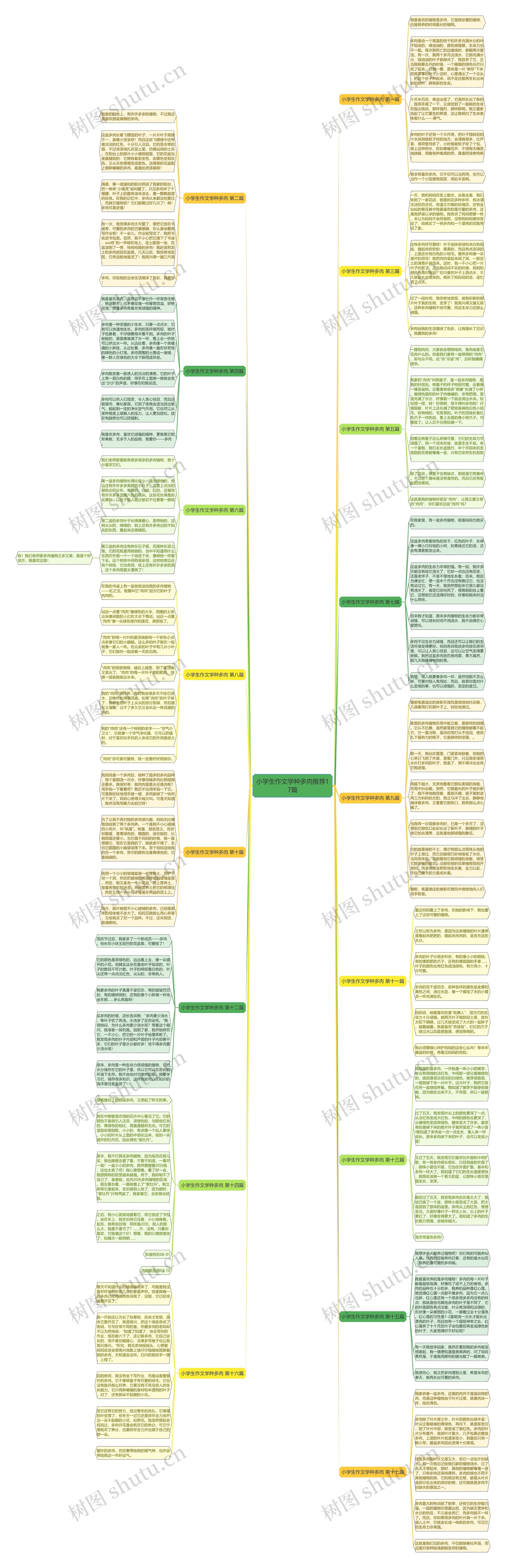小学生作文学种多肉推荐17篇思维导图