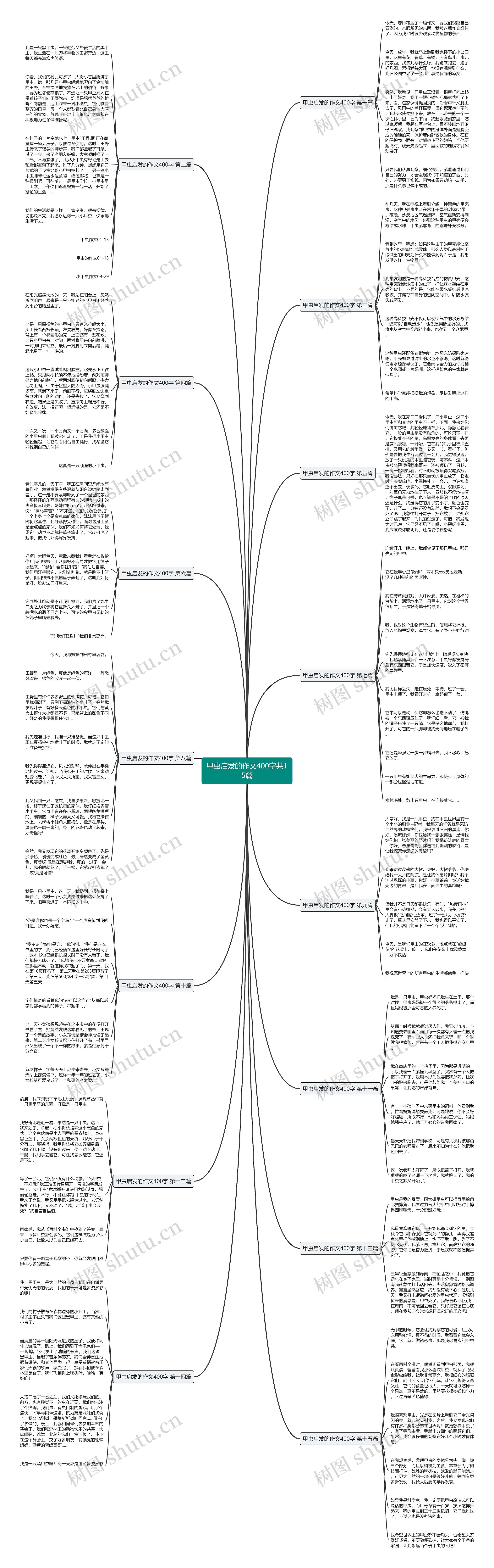 甲虫启发的作文400字共15篇思维导图