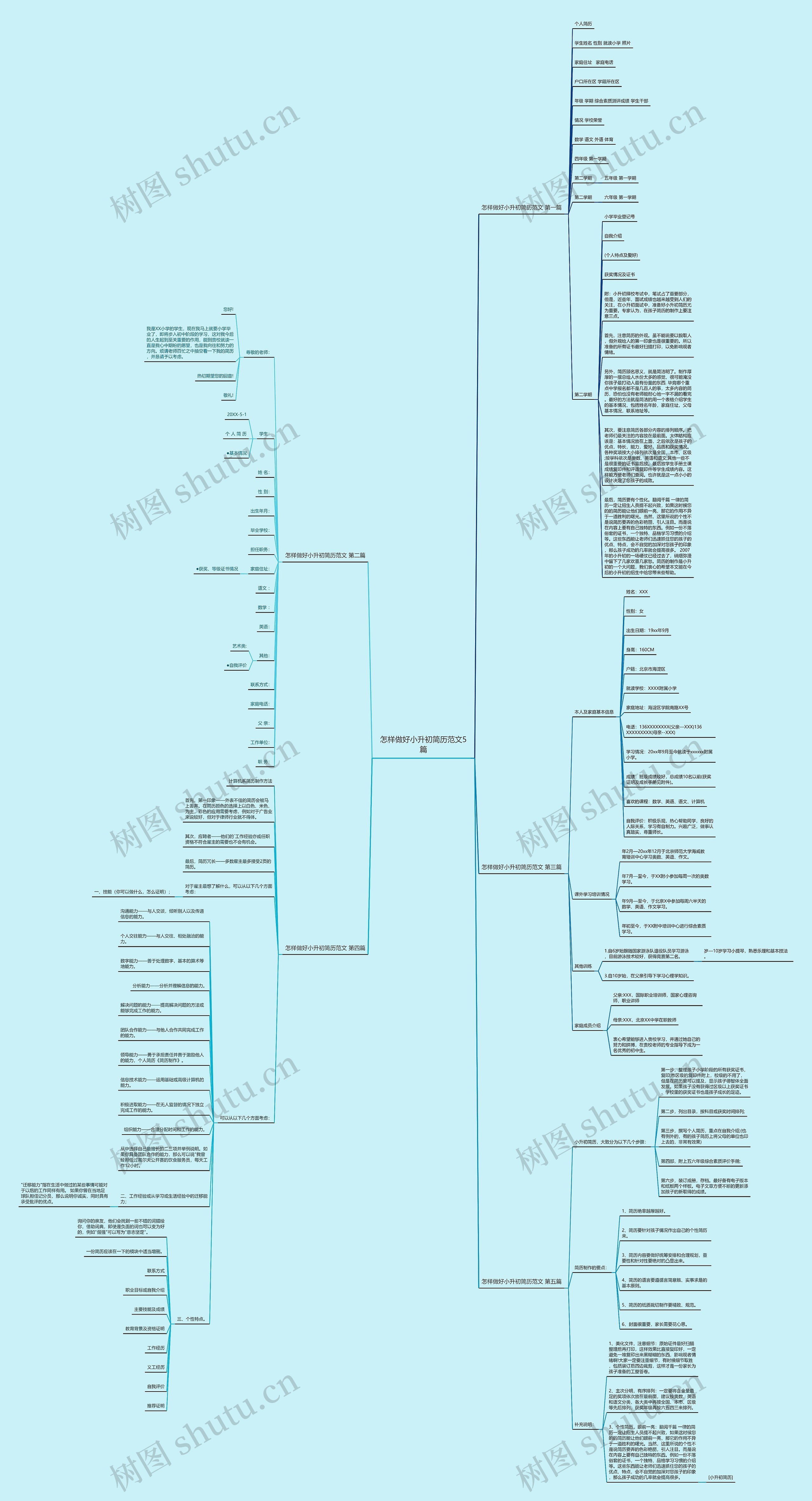 怎样做好小升初简历范文5篇思维导图
