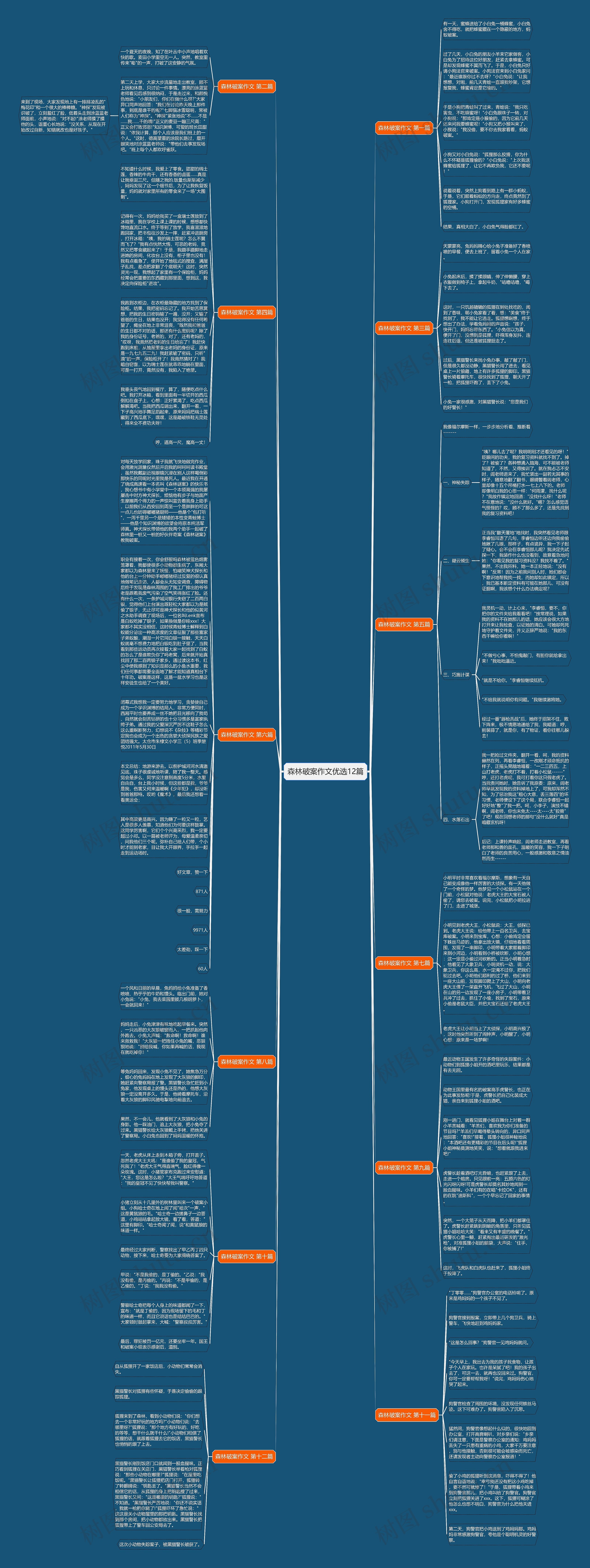 森林破案作文优选12篇思维导图