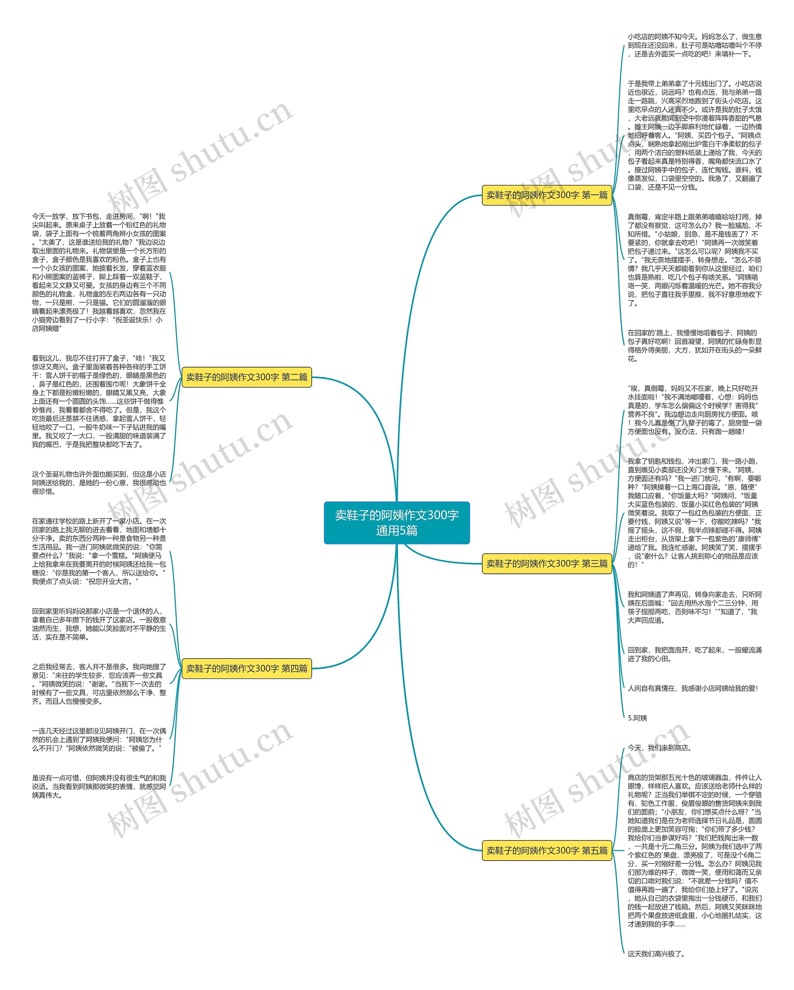 卖鞋子的阿姨作文300字通用5篇思维导图