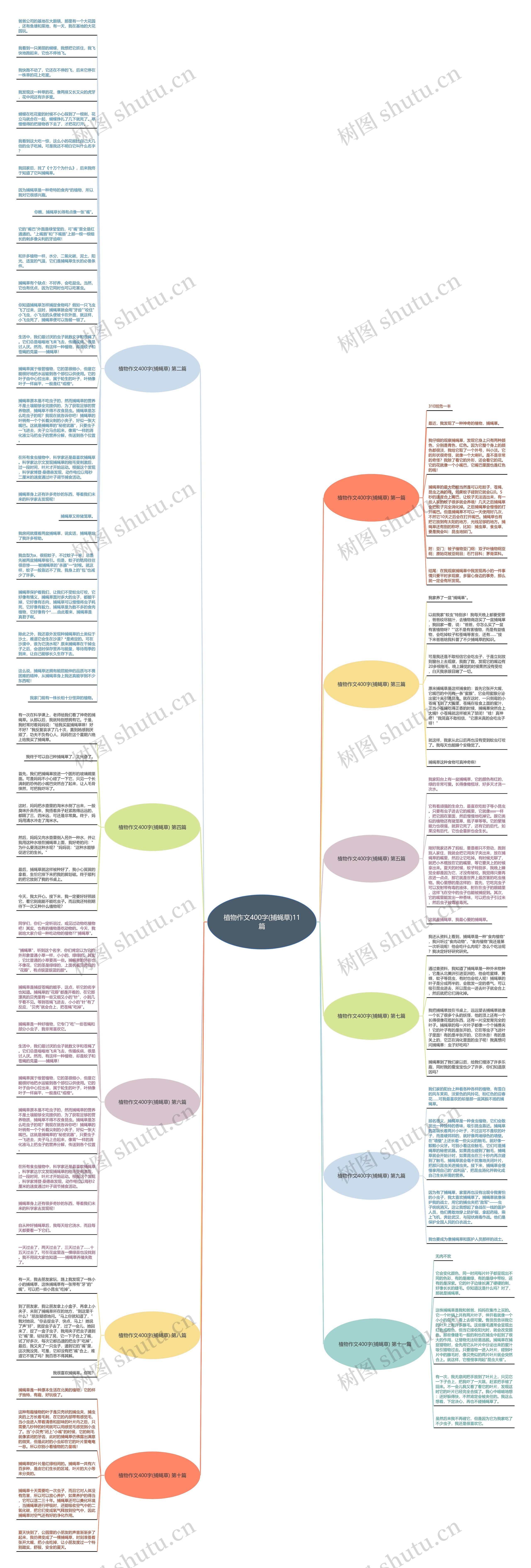 植物作文400字(捕蝇草)11篇思维导图