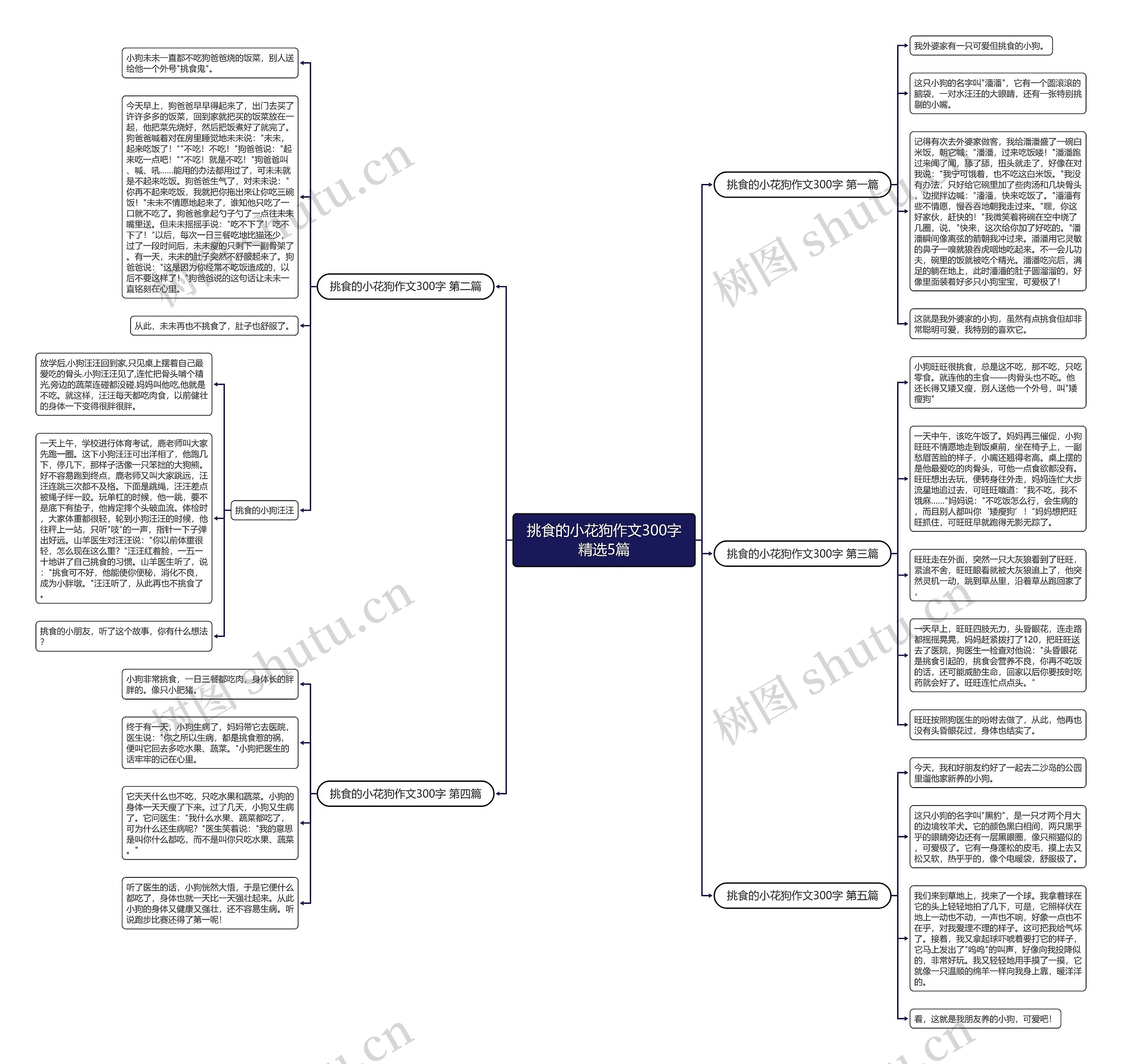 挑食的小花狗作文300字精选5篇思维导图