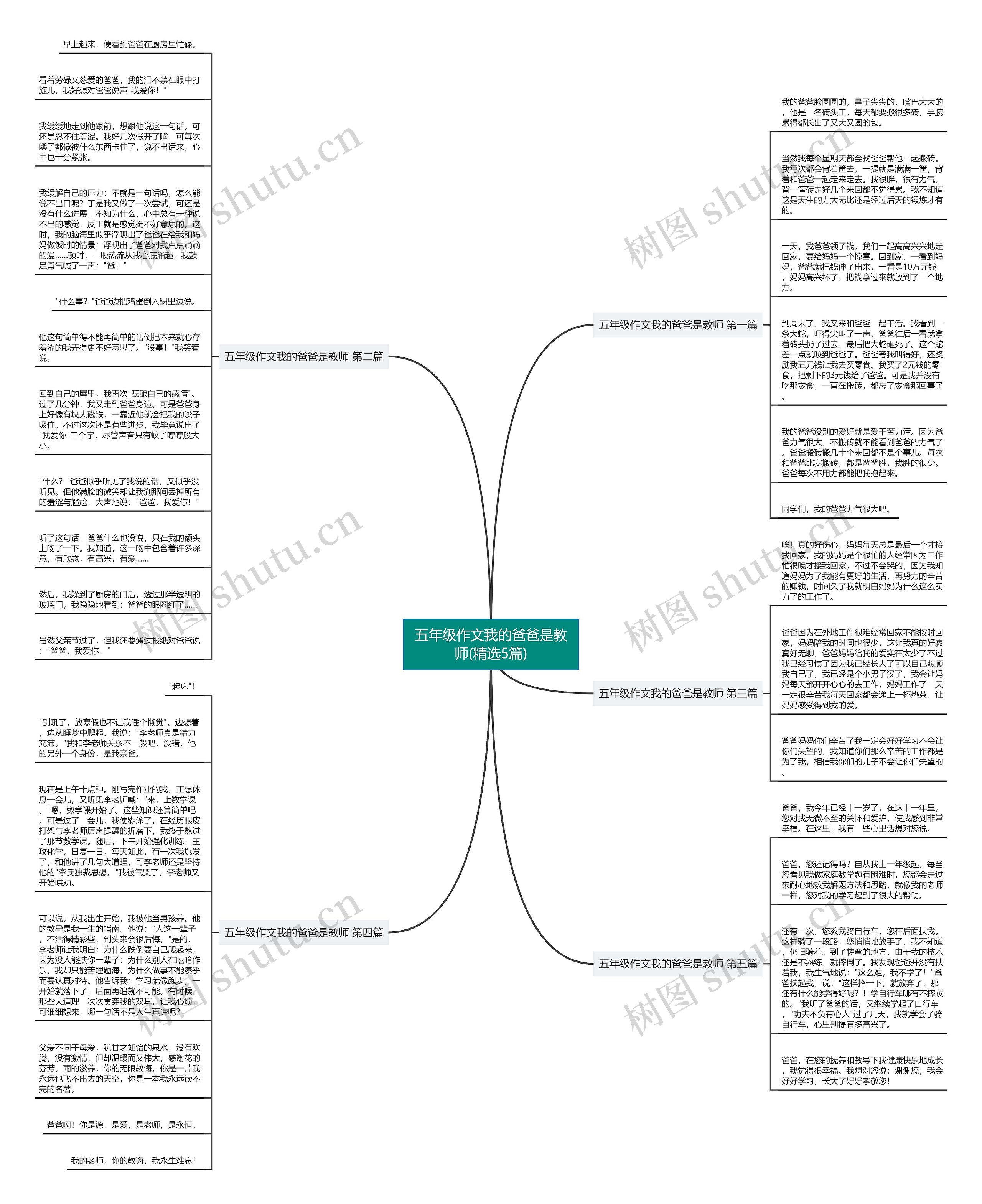 五年级作文我的爸爸是教师(精选5篇)思维导图