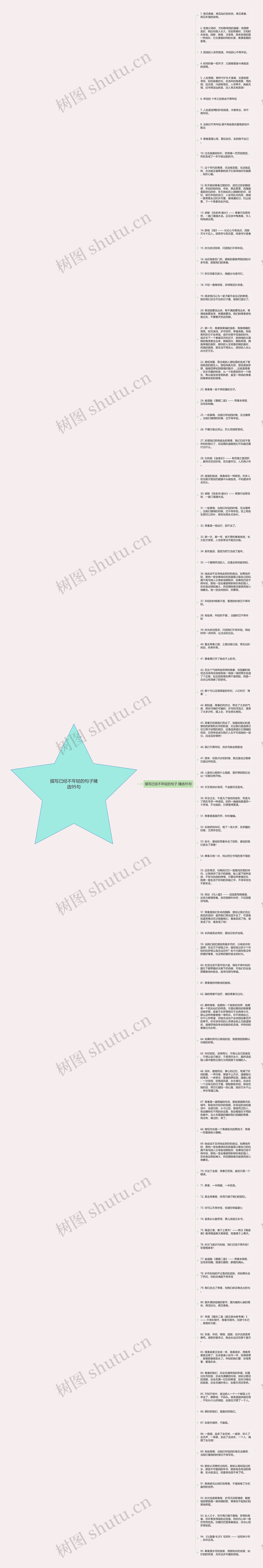 描写已经不年轻的句子精选95句思维导图