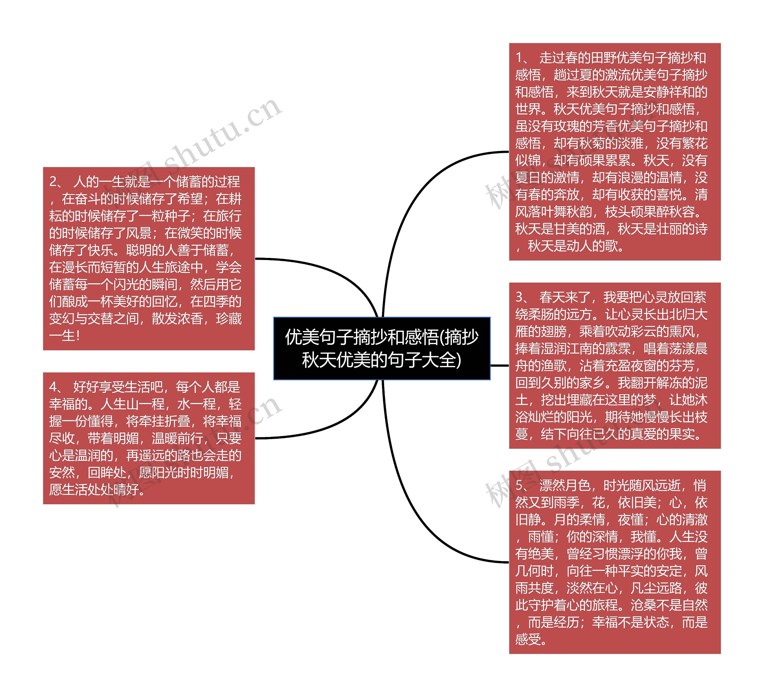 优美句子摘抄和感悟(摘抄秋天优美的句子大全)