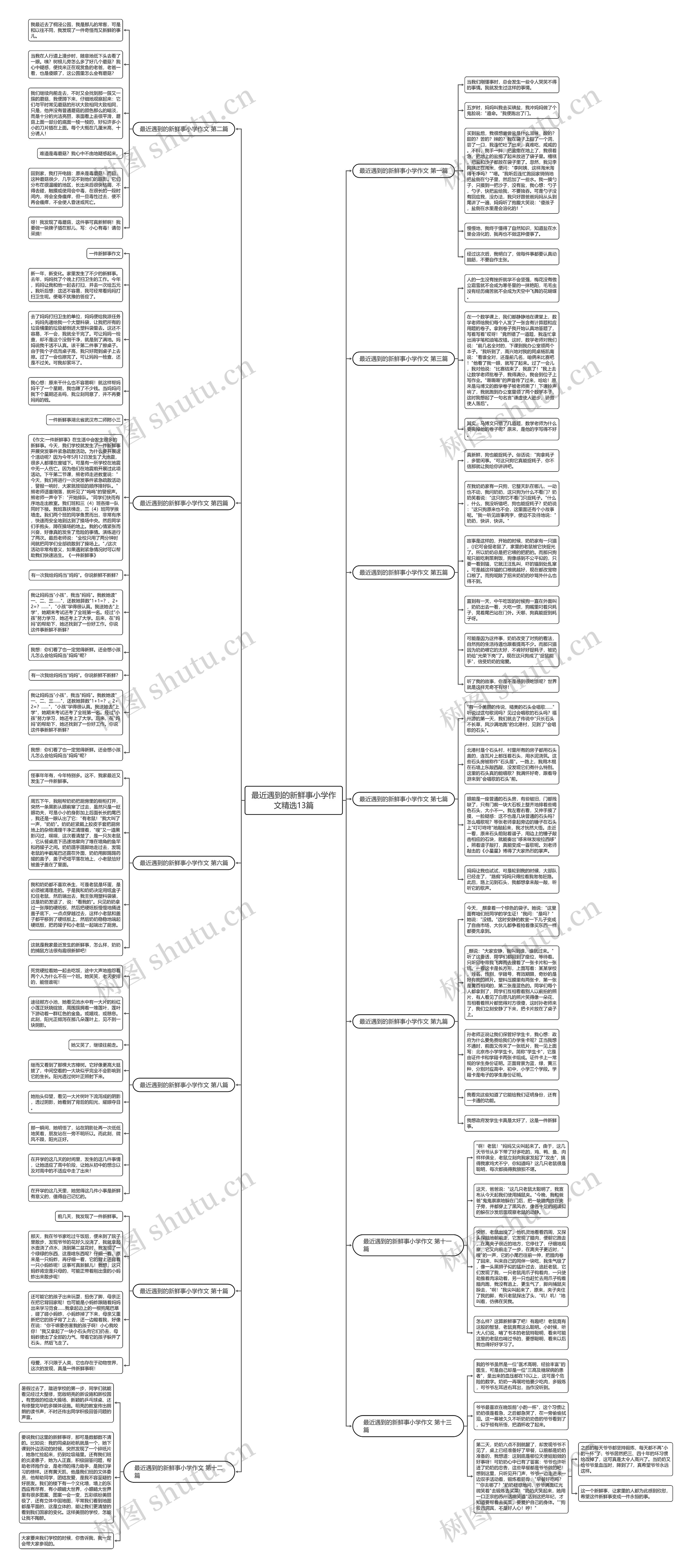 最近遇到的新鲜事小学作文精选13篇思维导图