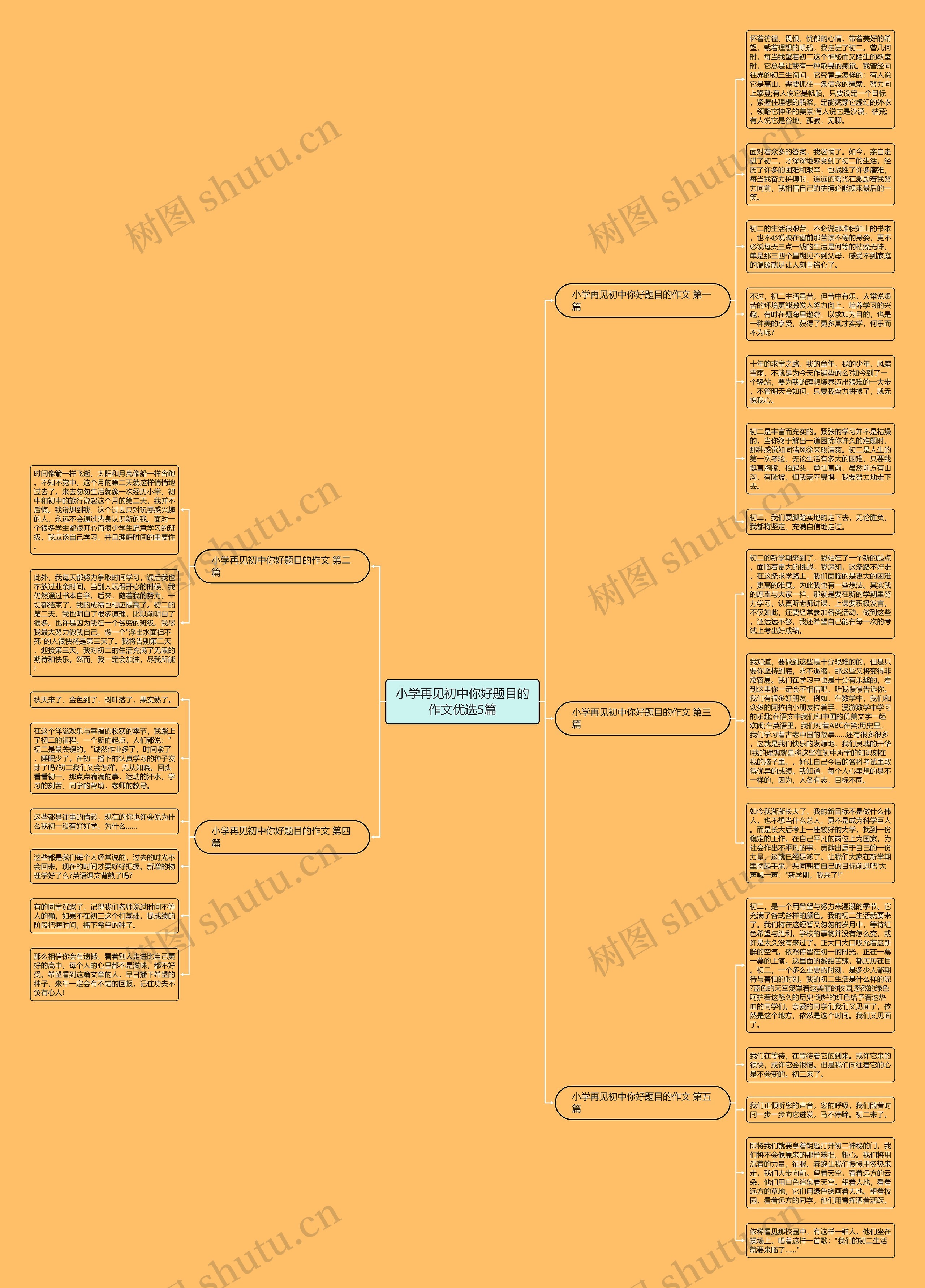 小学再见初中你好题目的作文优选5篇思维导图