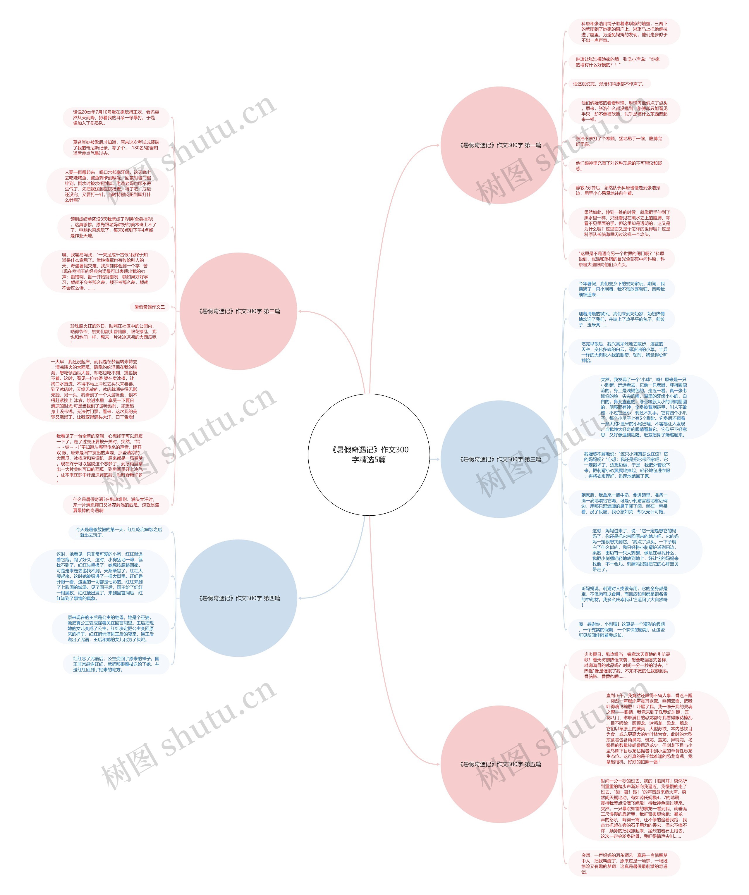 《暑假奇遇记》作文300字精选5篇思维导图