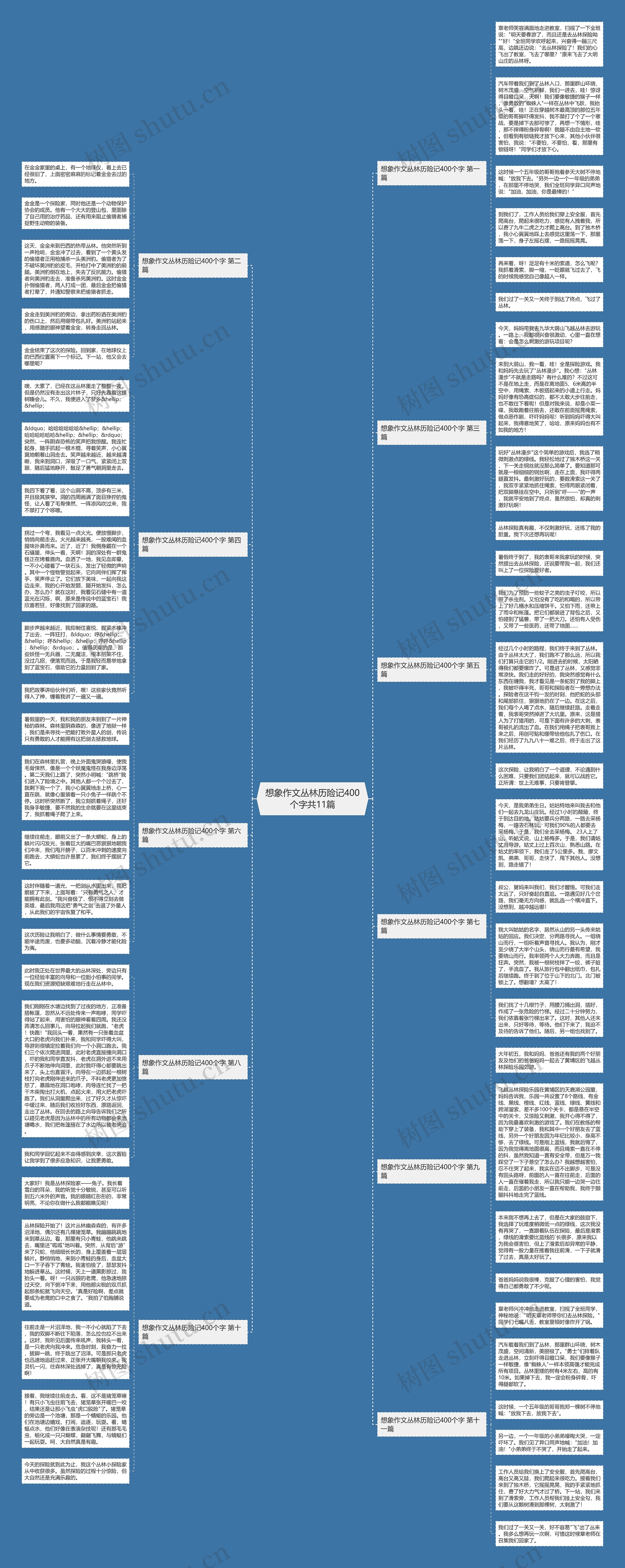 想象作文丛林历险记400个字共11篇