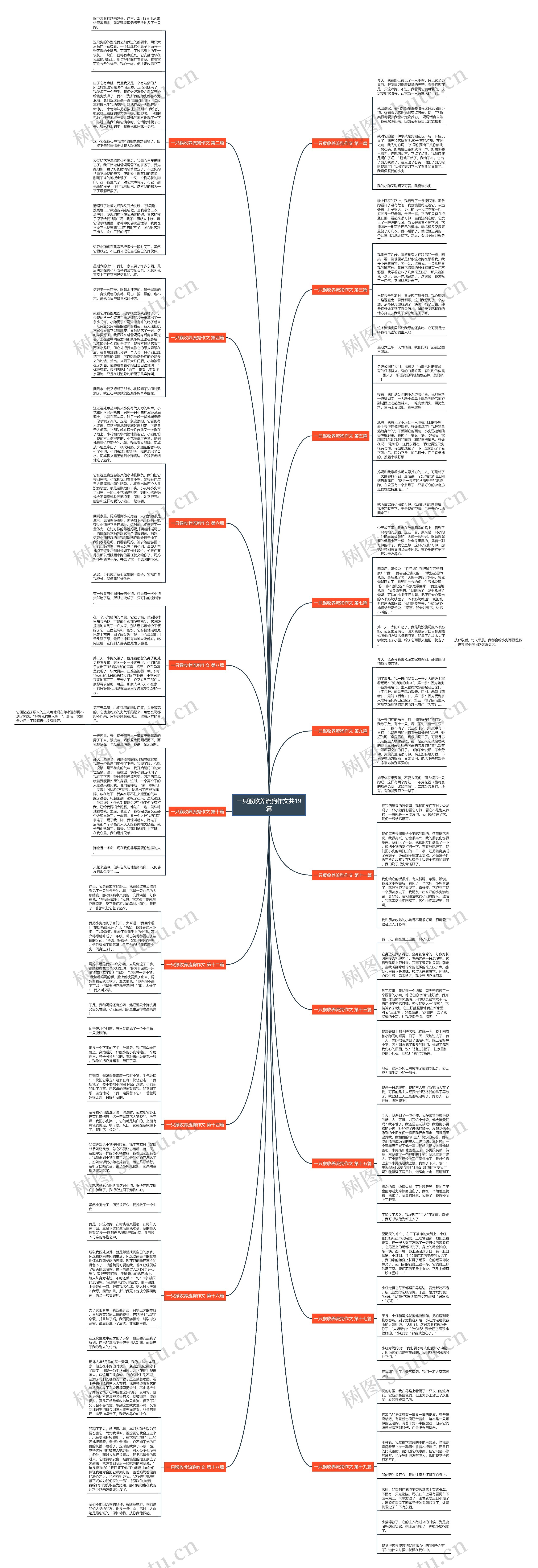 一只猴收养流狗作文共19篇思维导图