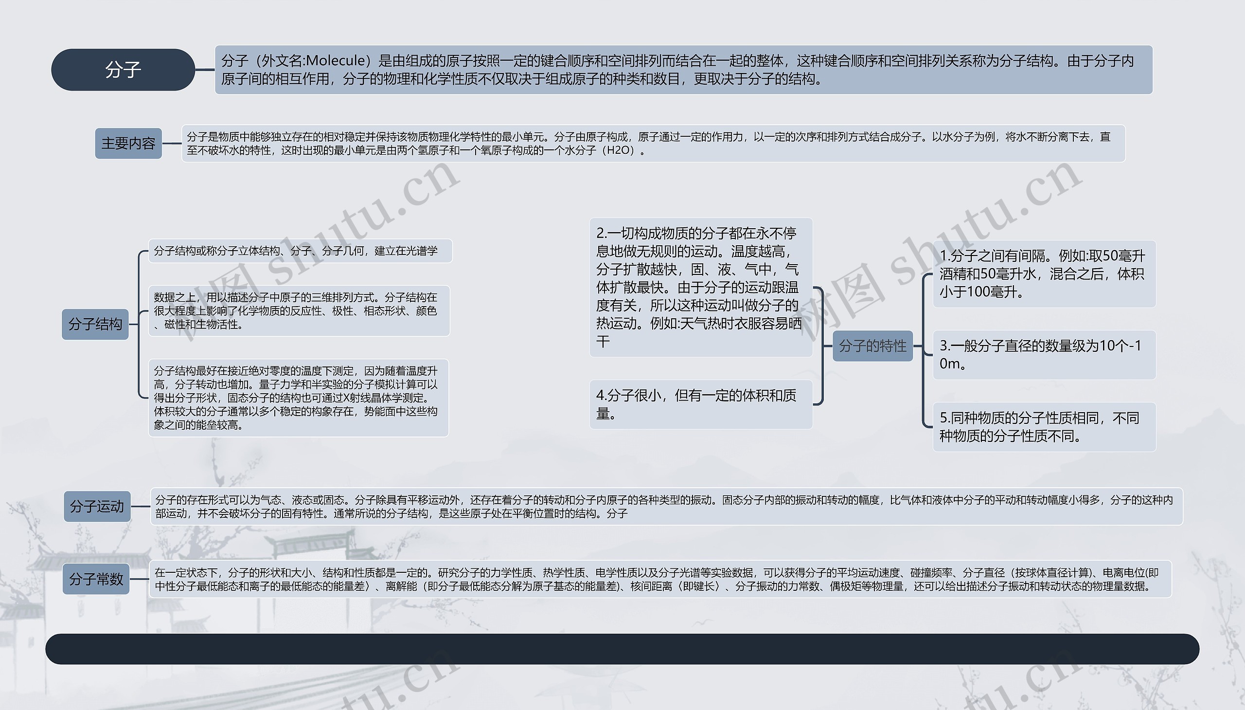 分子