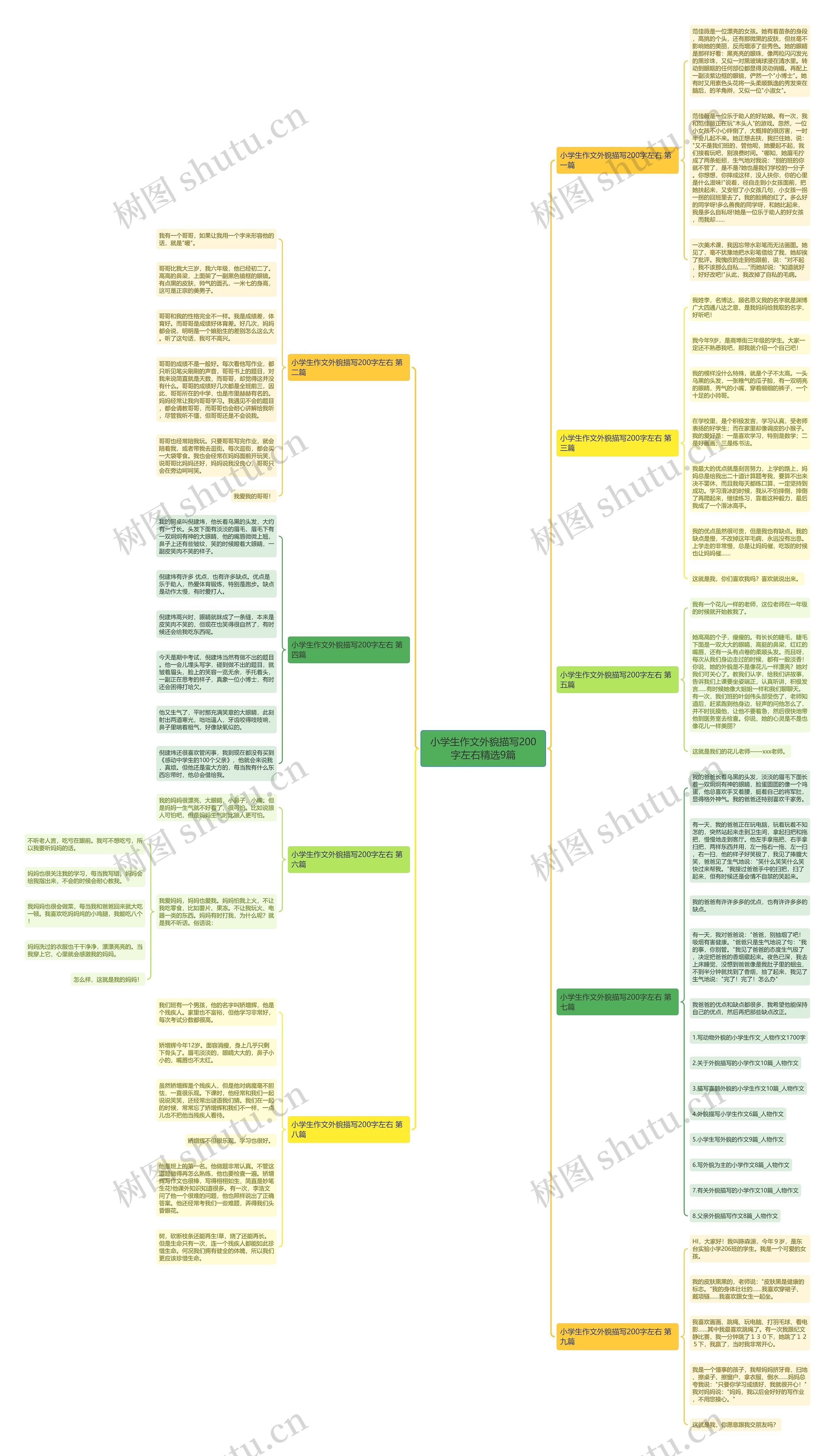 小学生作文外貌描写200字左右精选9篇思维导图