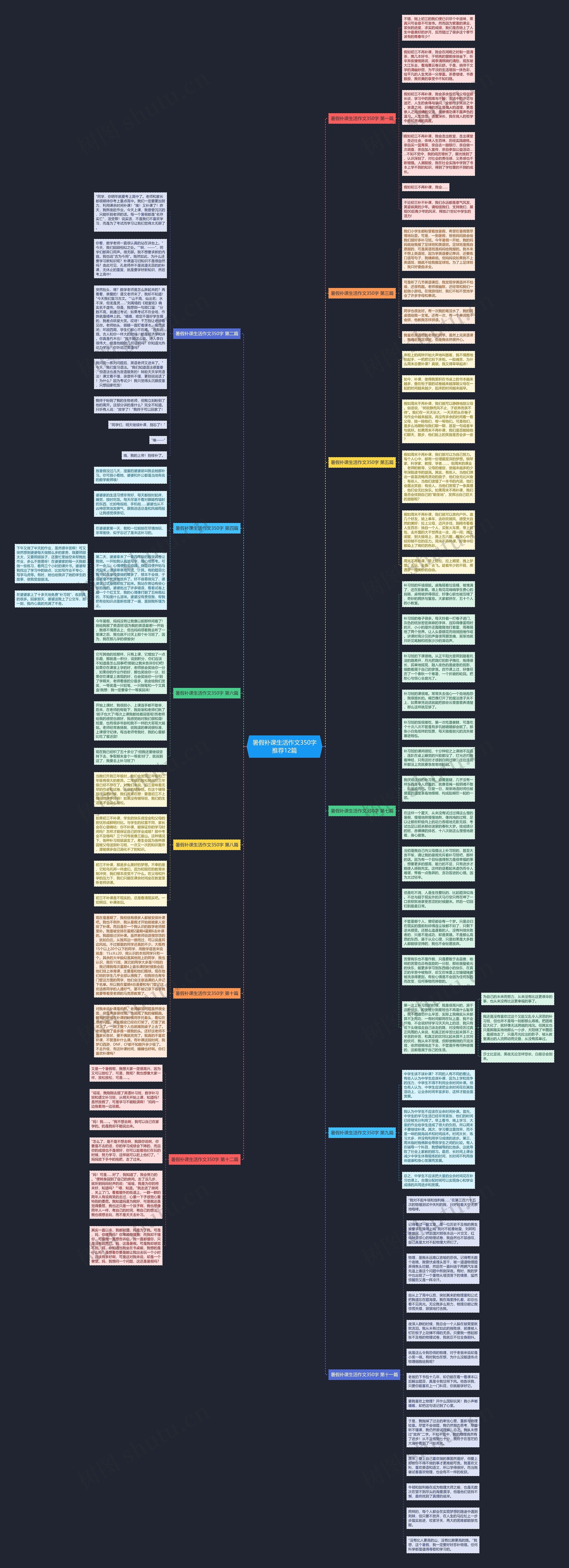 暑假补课生活作文350字推荐12篇思维导图