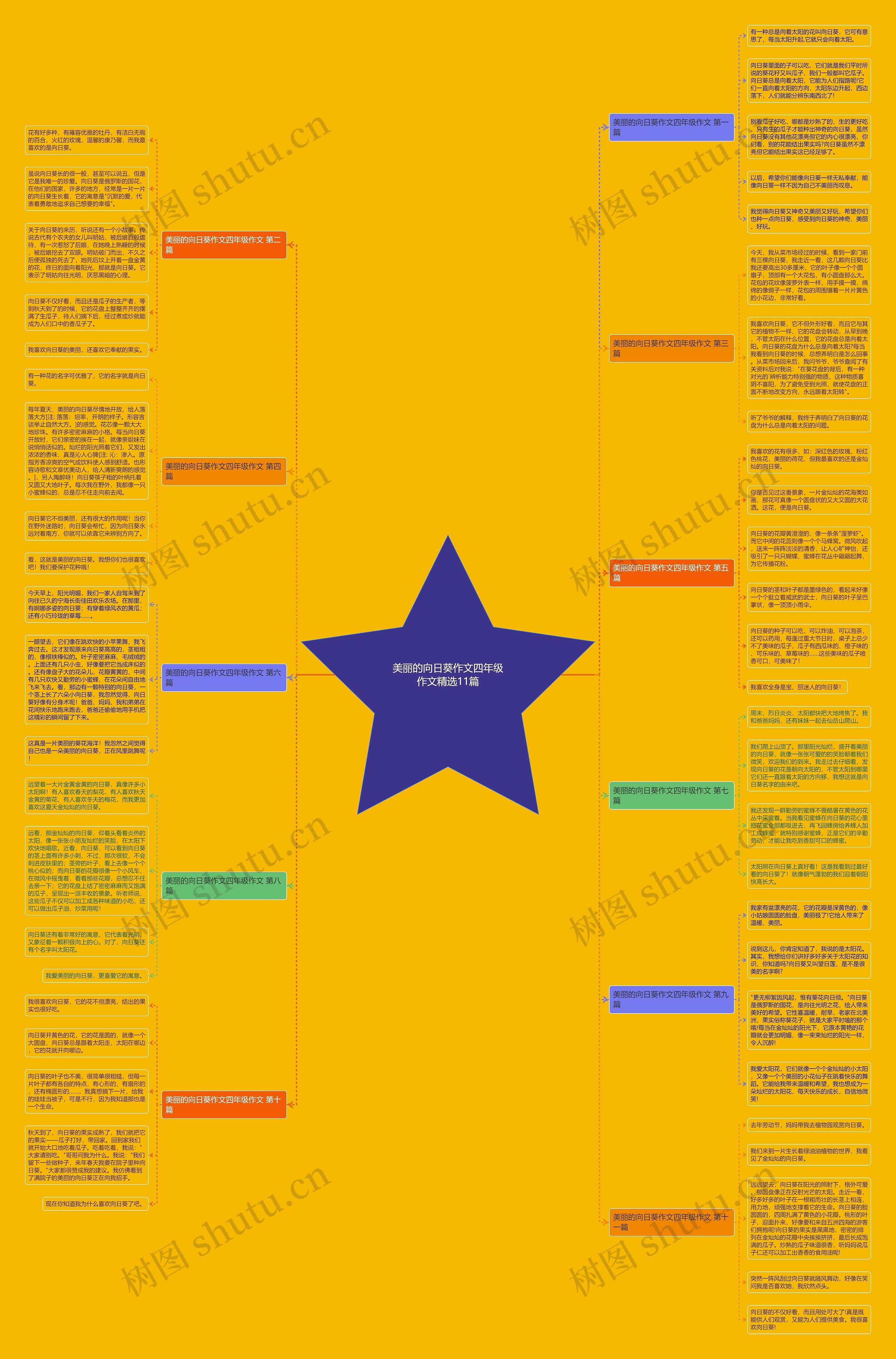 美丽的向日葵作文四年级作文精选11篇思维导图