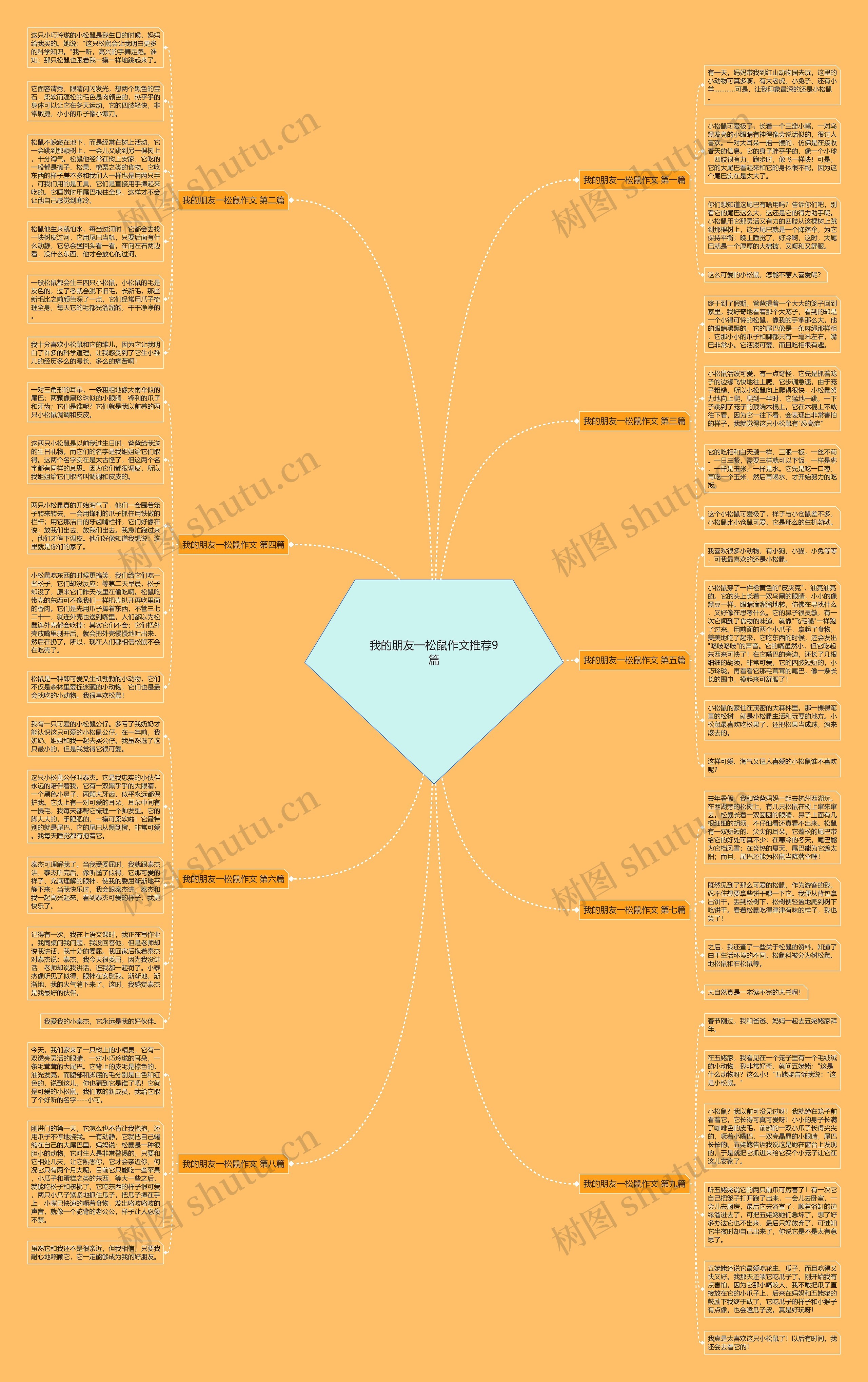 我的朋友一松鼠作文推荐9篇 我的朋友一松鼠作文推荐9篇