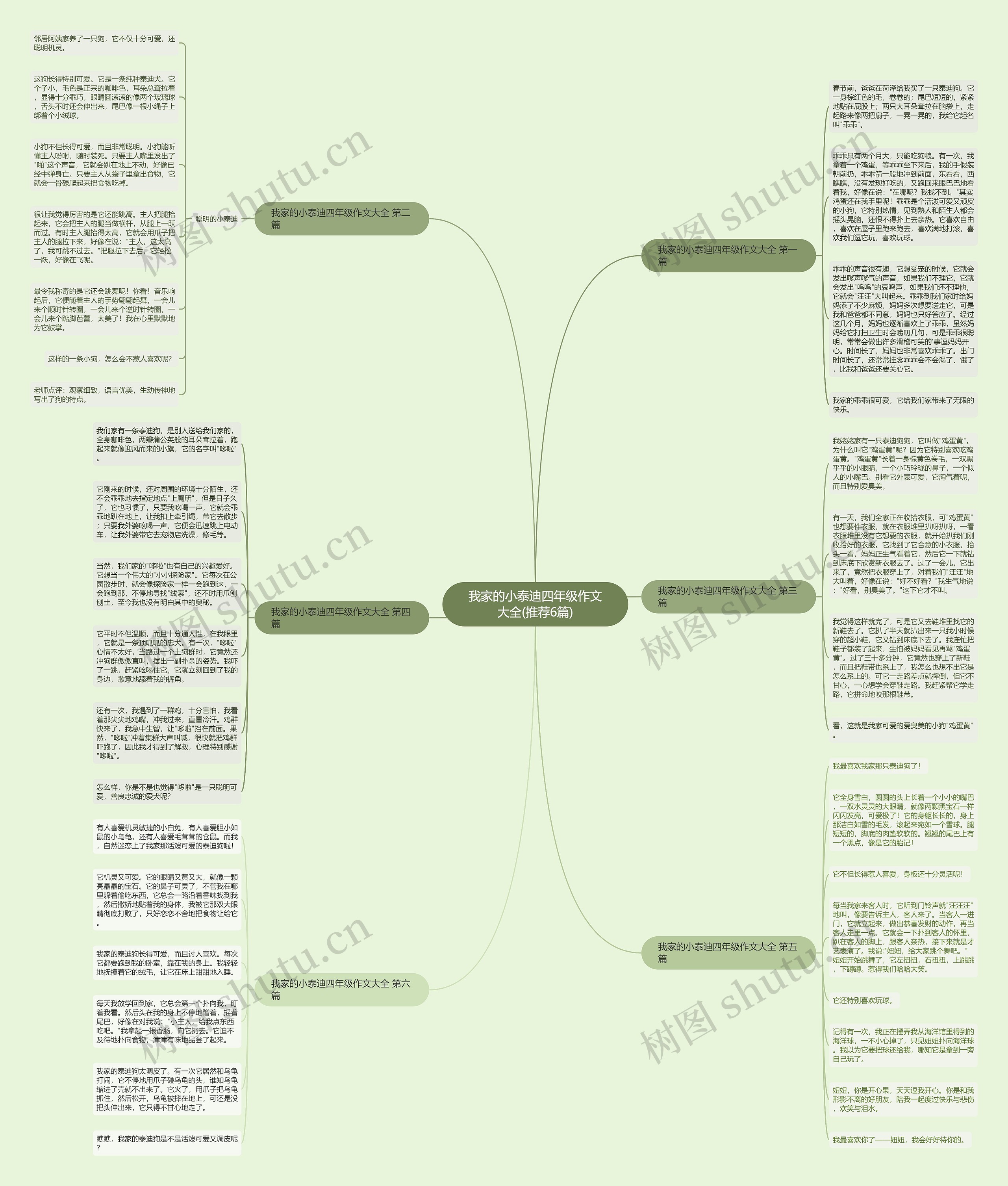 我家的小泰迪四年级作文大全(推荐6篇)思维导图