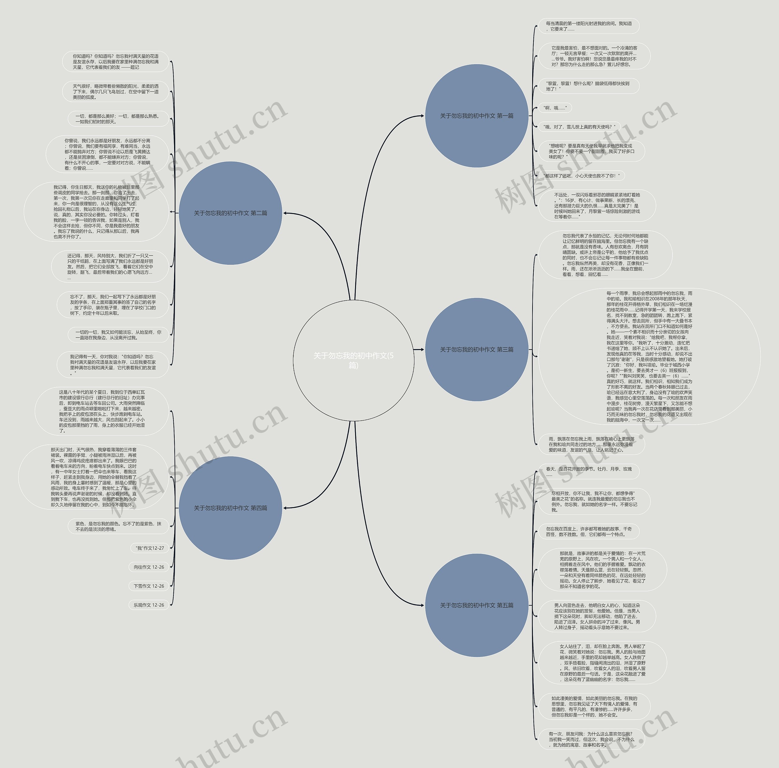 关于勿忘我的初中作文(5篇)思维导图
