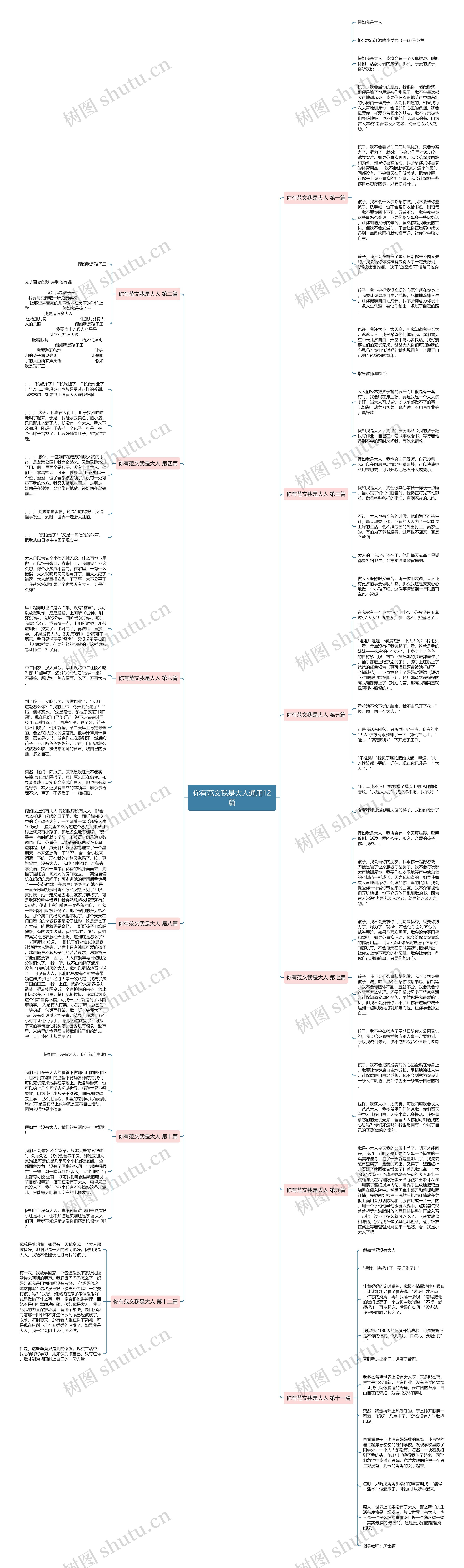 你有范文我是大人通用12篇思维导图
