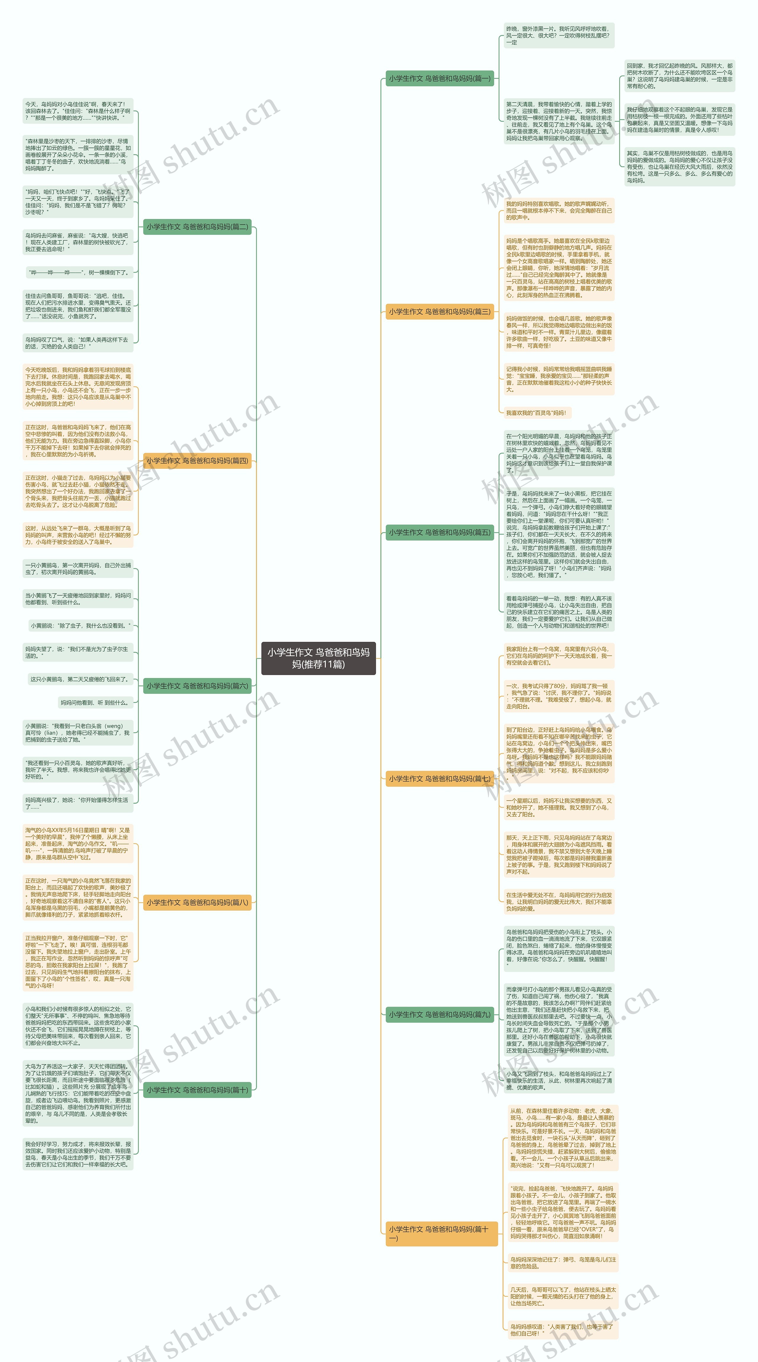 小学生作文 鸟爸爸和鸟妈妈(推荐11篇)思维导图