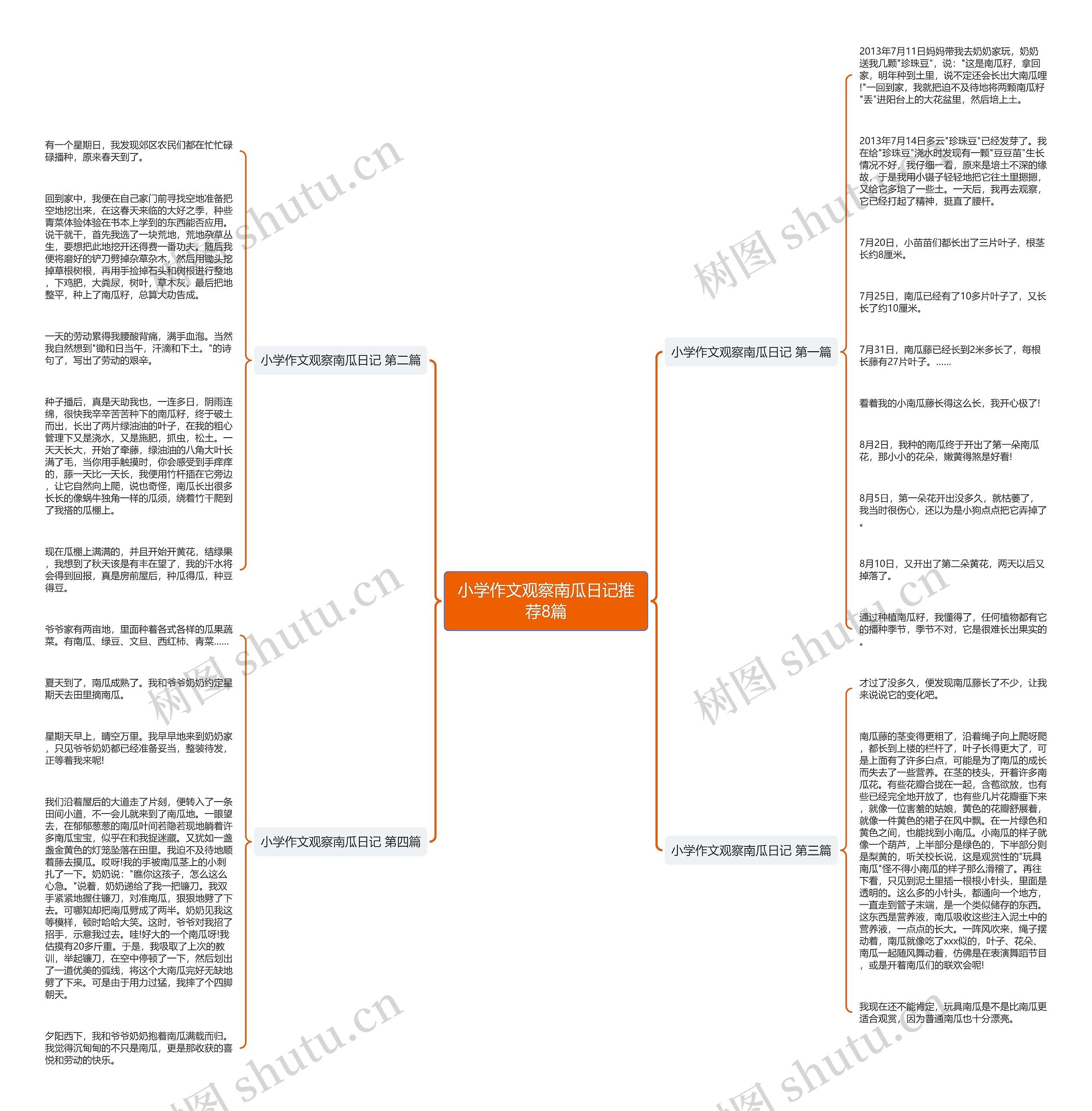小学作文观察南瓜日记推荐8篇思维导图
