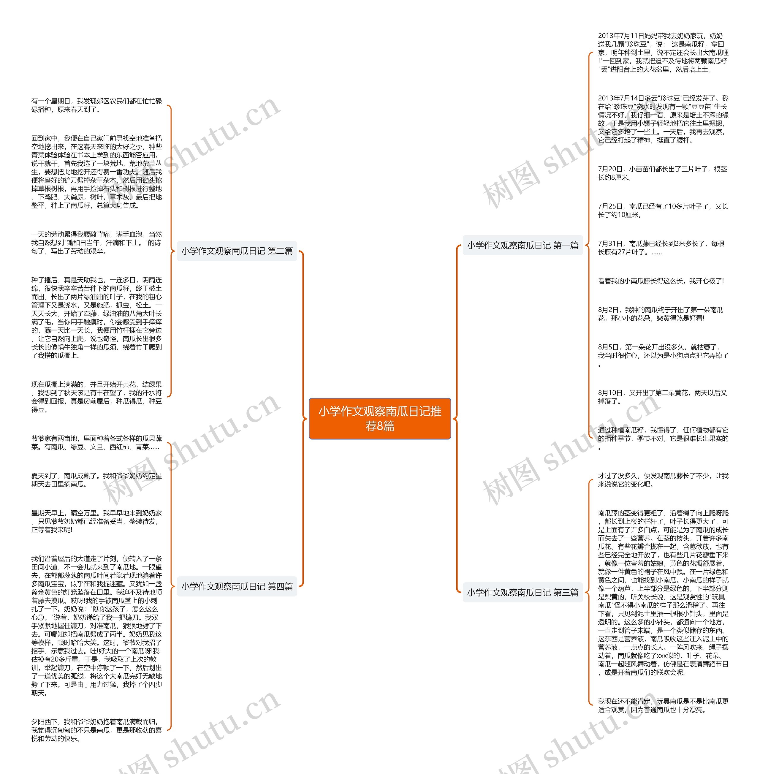 小学作文观察南瓜日记推荐8篇 小学作文观察南瓜日记推荐8篇