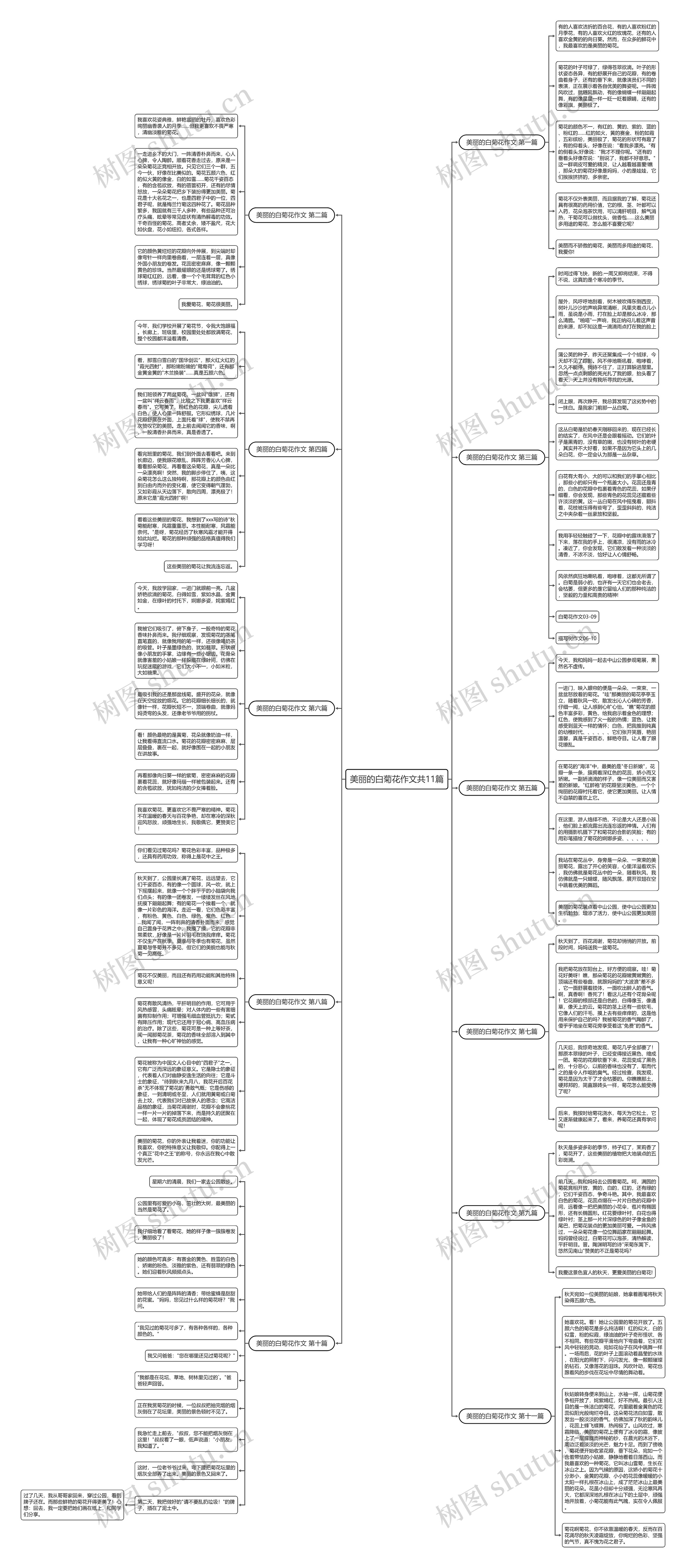 美丽的白菊花作文共11篇思维导图