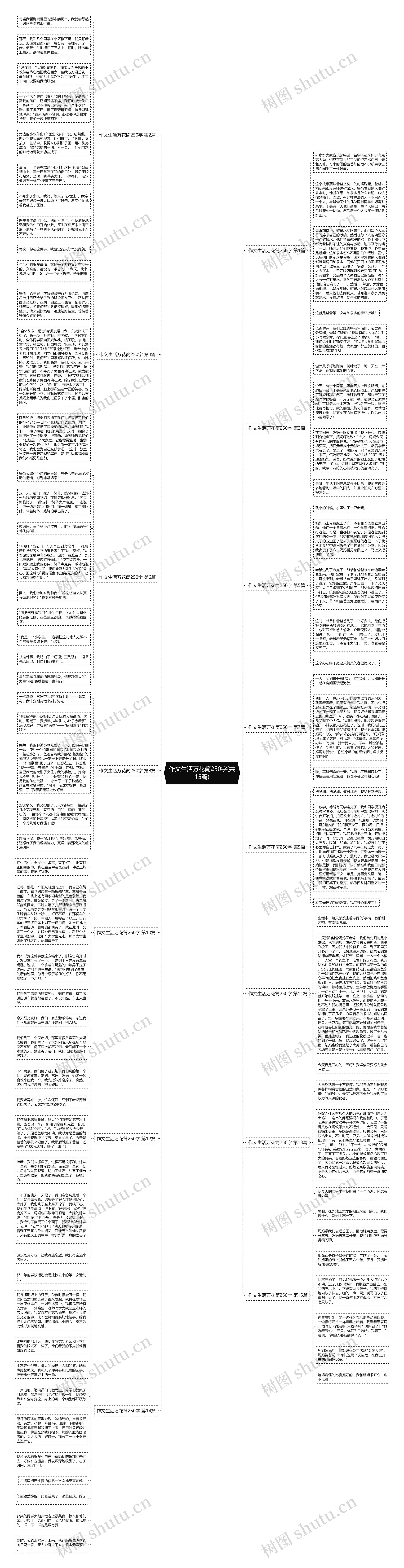 作文生活万花筒250字(共15篇)思维导图
