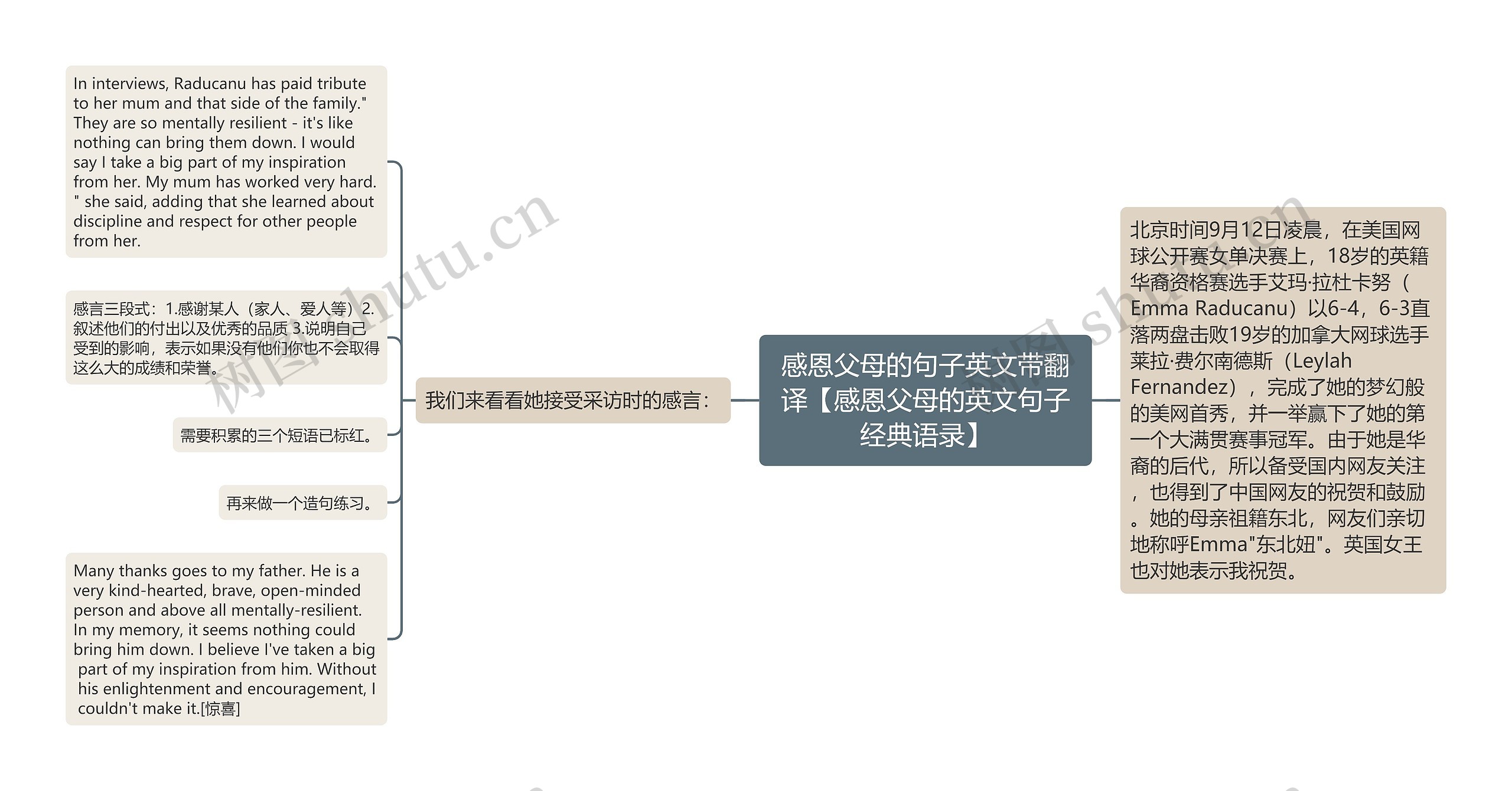 感恩父母的句子英文带翻译【感恩父母的英文句子经典语录】思维导图