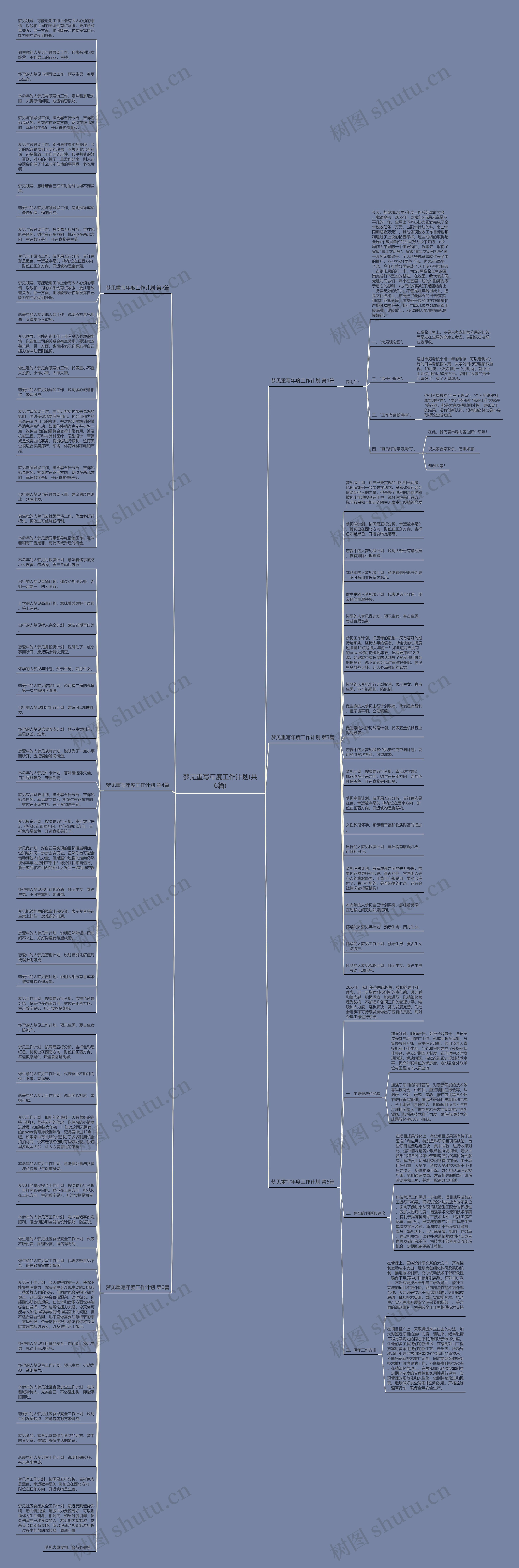 梦见重写年度工作计划(共6篇)思维导图