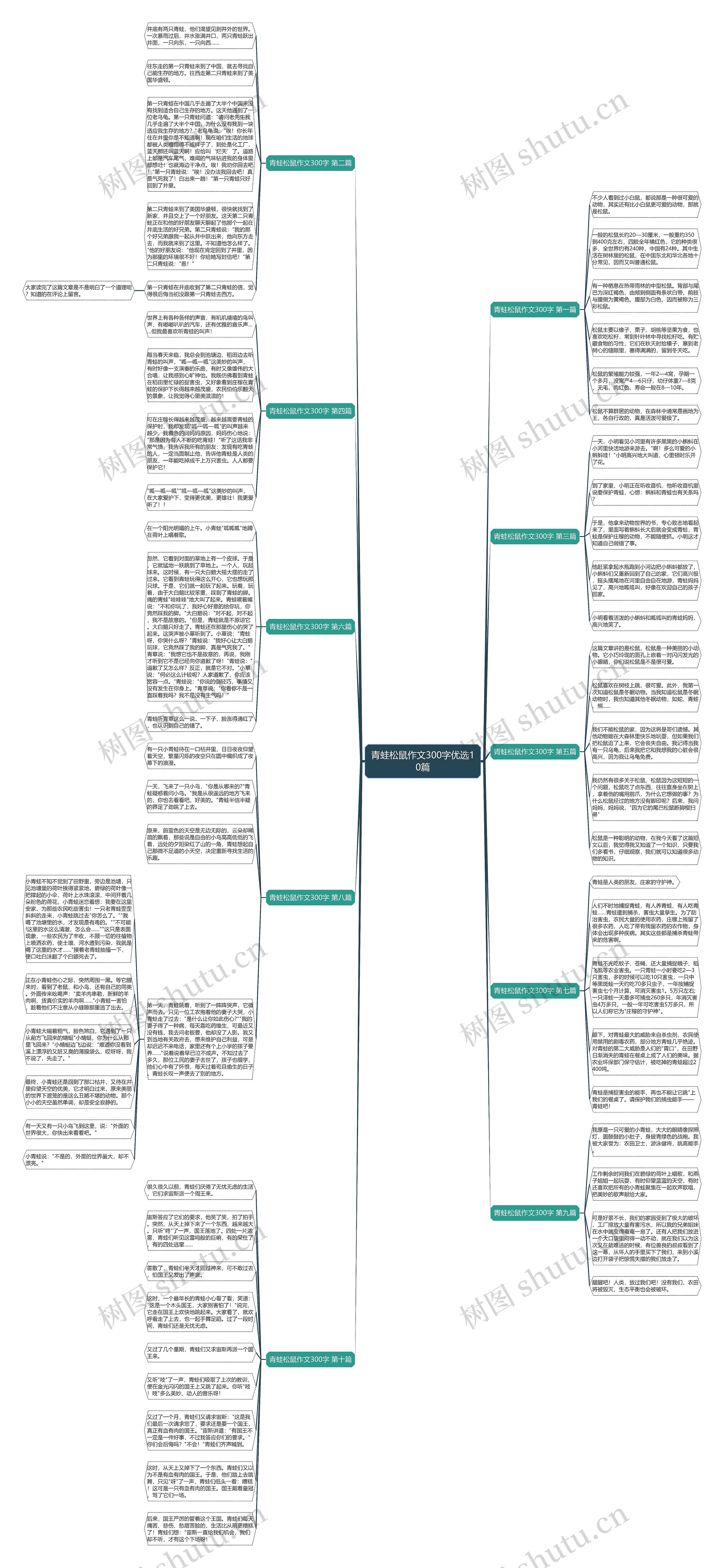 青蛙松鼠作文300字优选10篇思维导图