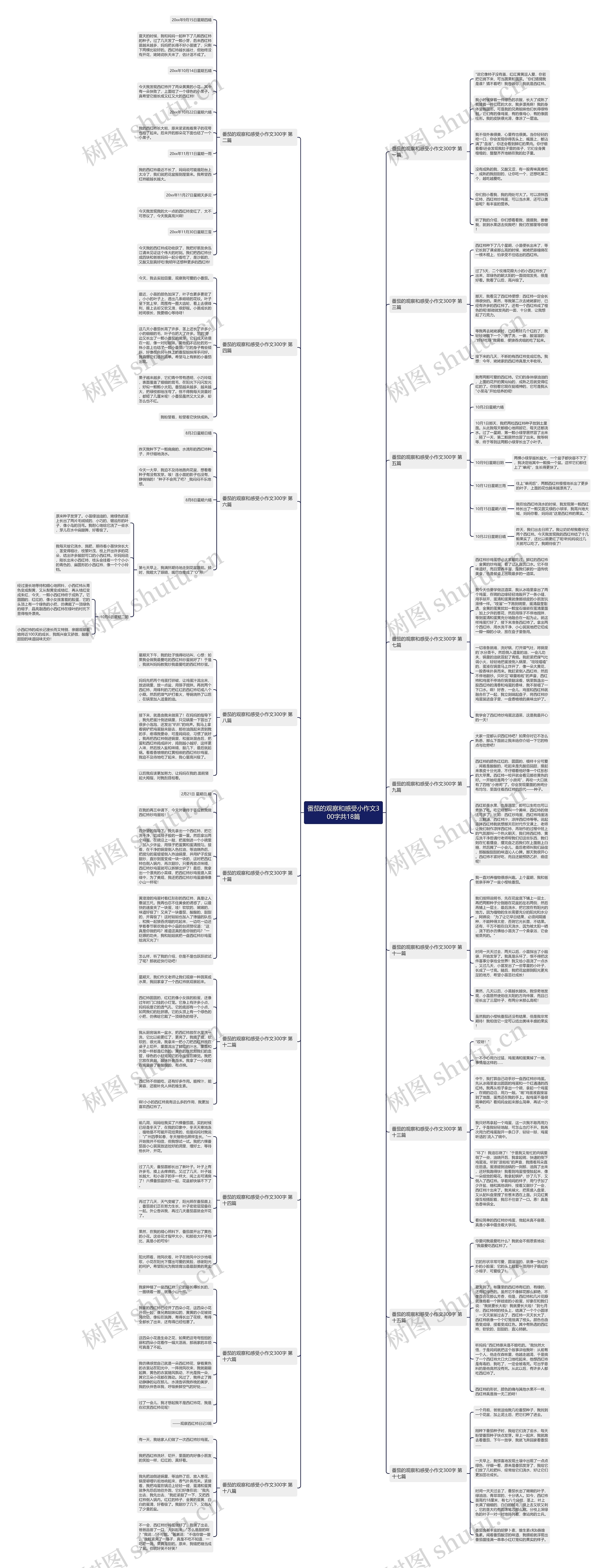 番茄的观察和感受小作文300字共18篇 番茄的观察和感受小作文300字共18篇