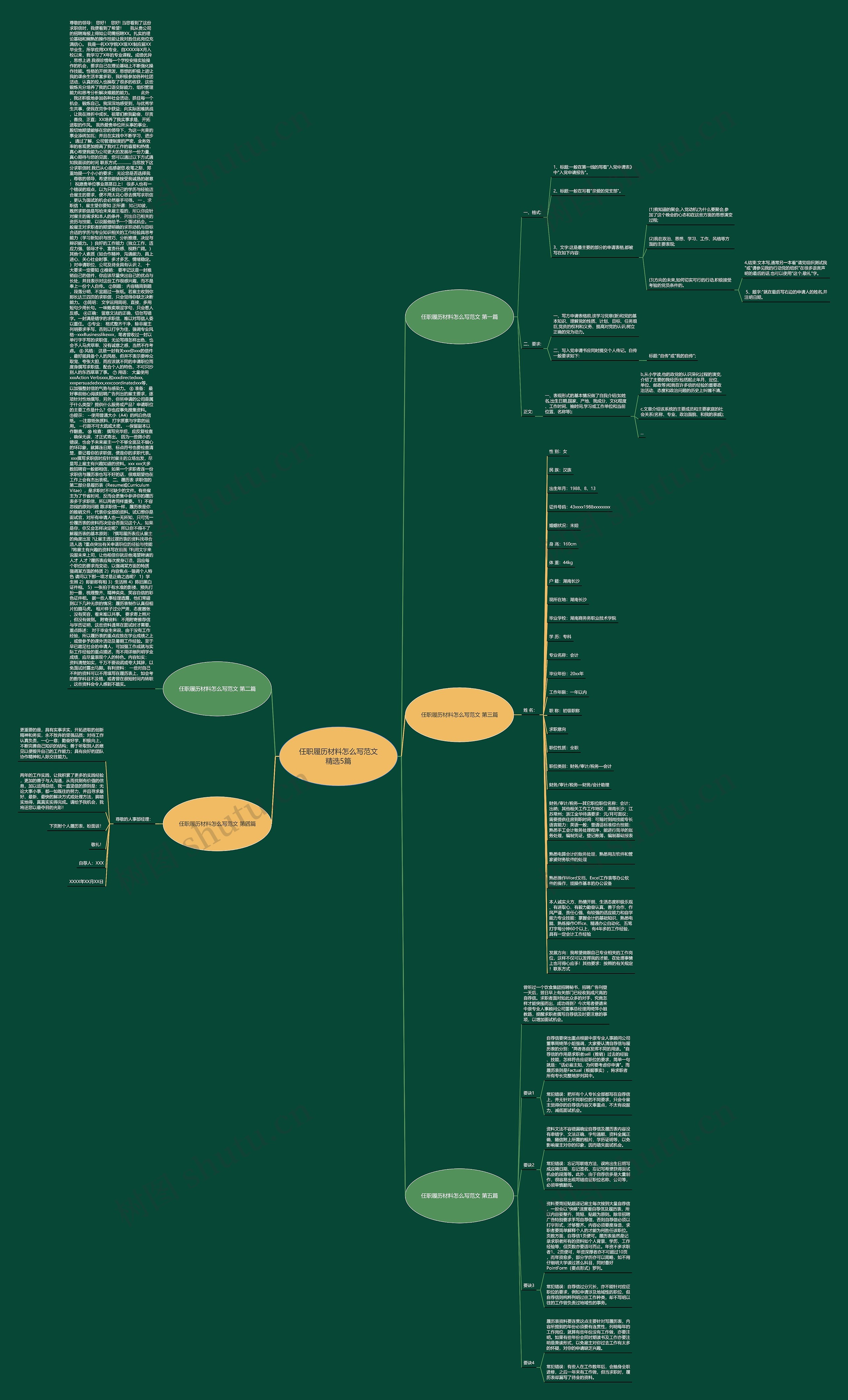 任职履历材料怎么写范文精选5篇思维导图