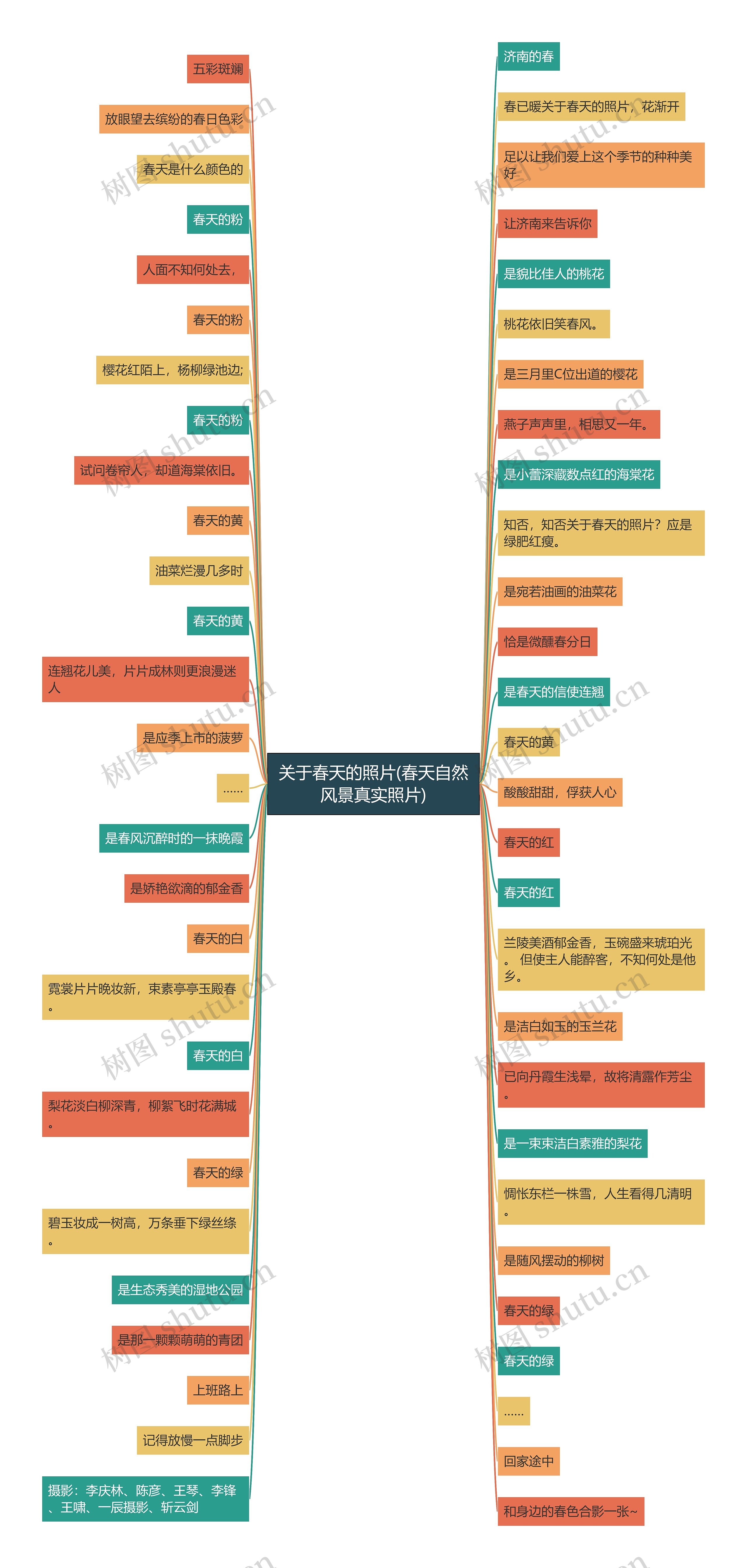 关于春天的照片(春天自然风景真实照片)思维导图