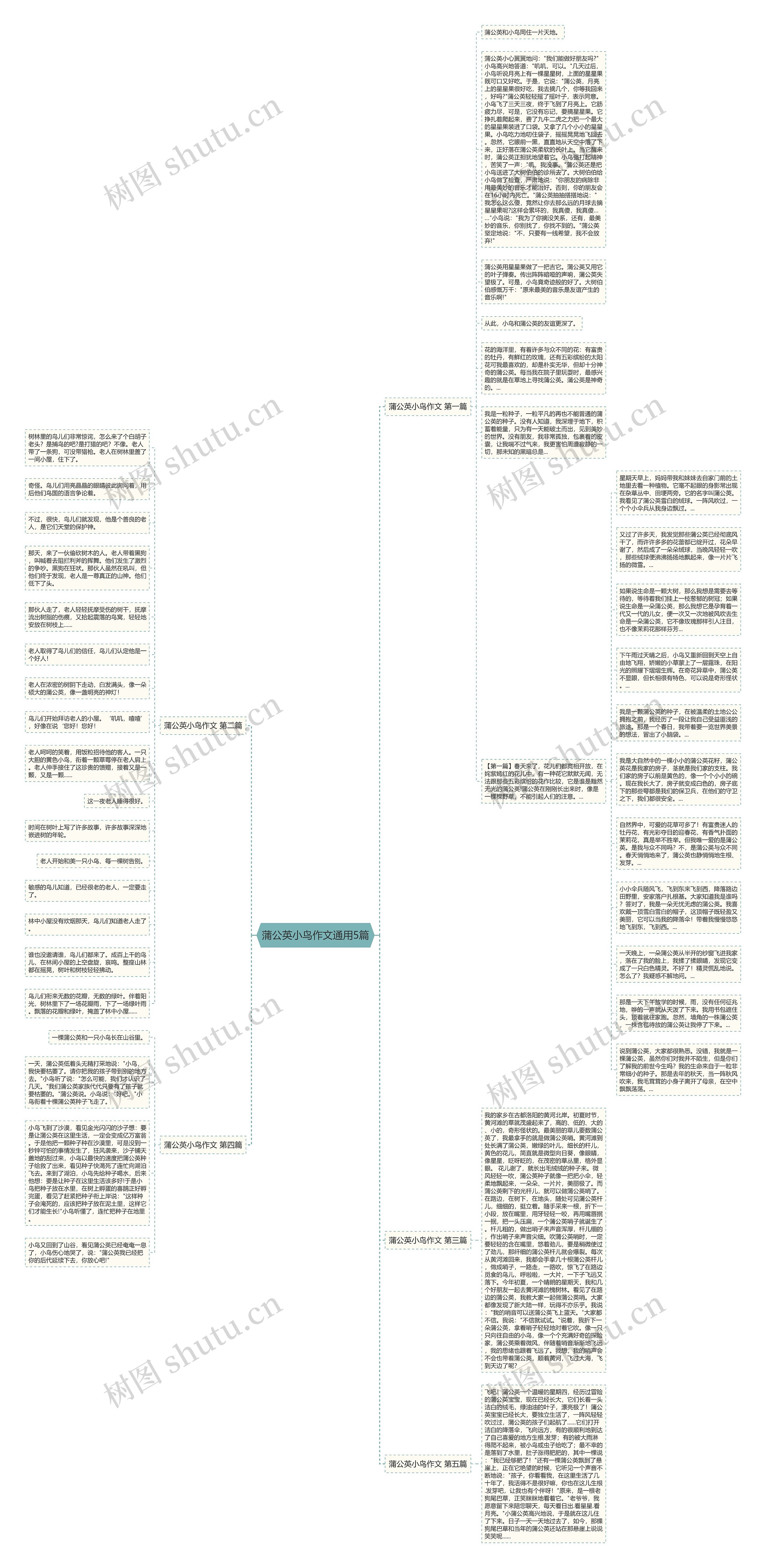 蒲公英小鸟作文通用5篇思维导图